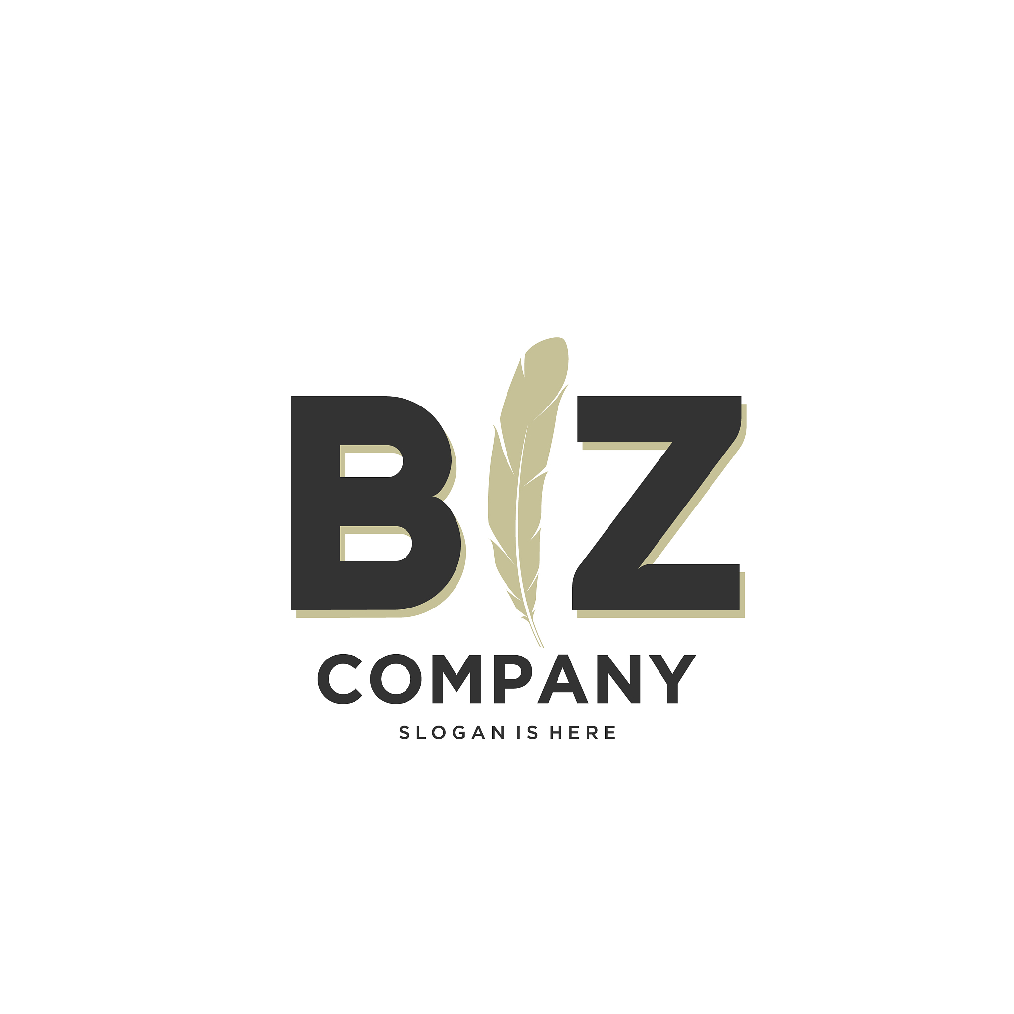 initial bz letter unique attractive creative