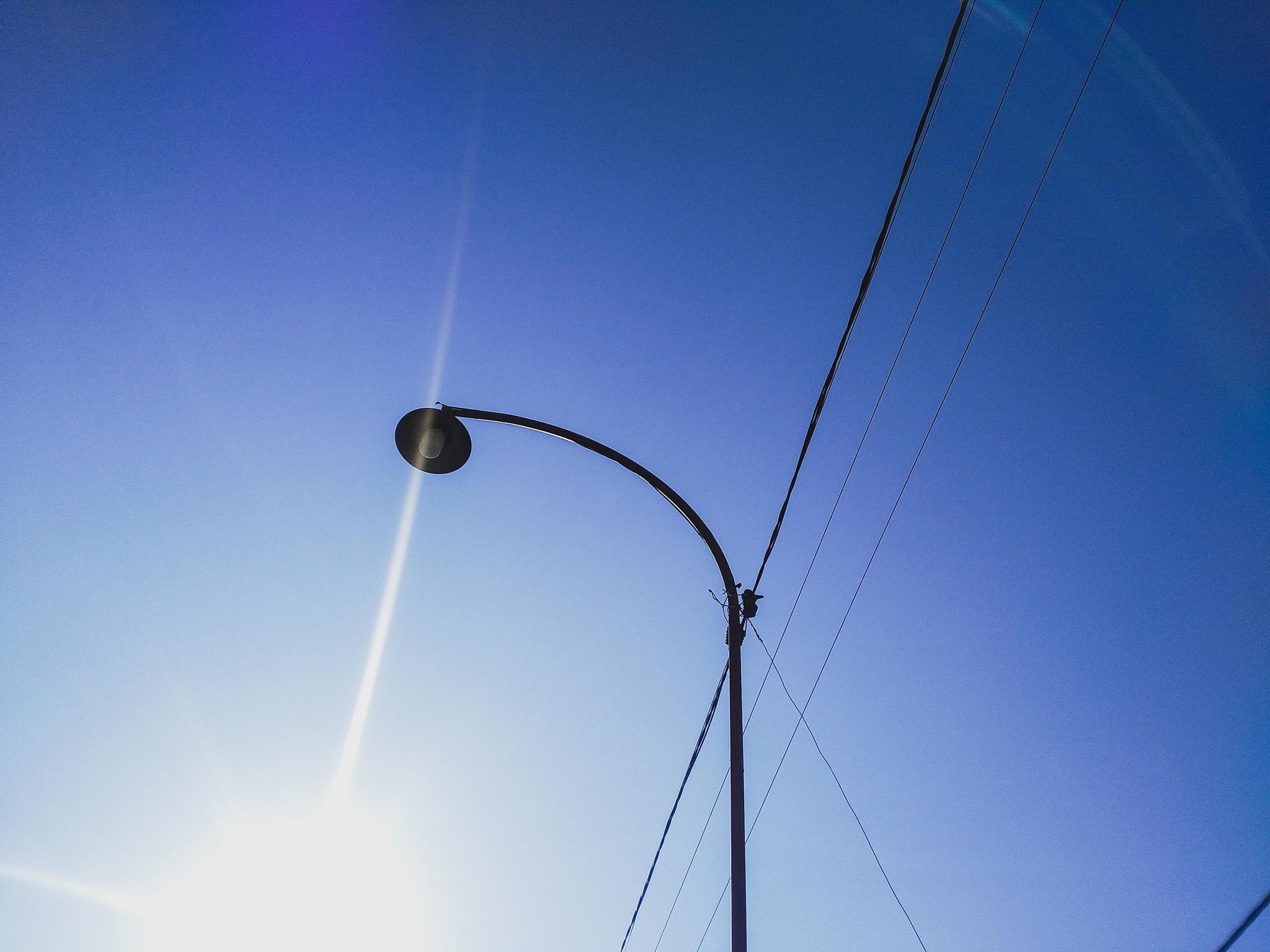 the lamp