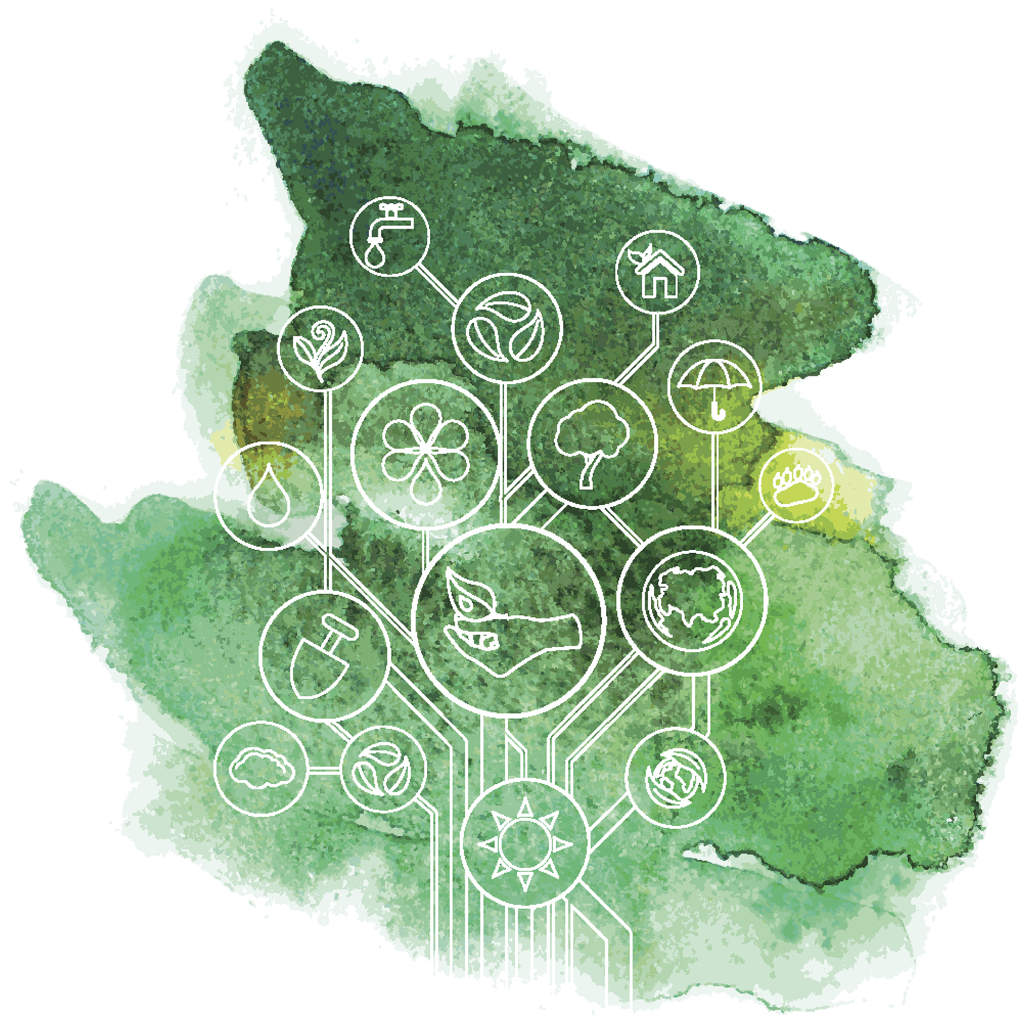 什么是测试用例？ - 测试执行前的详细方案