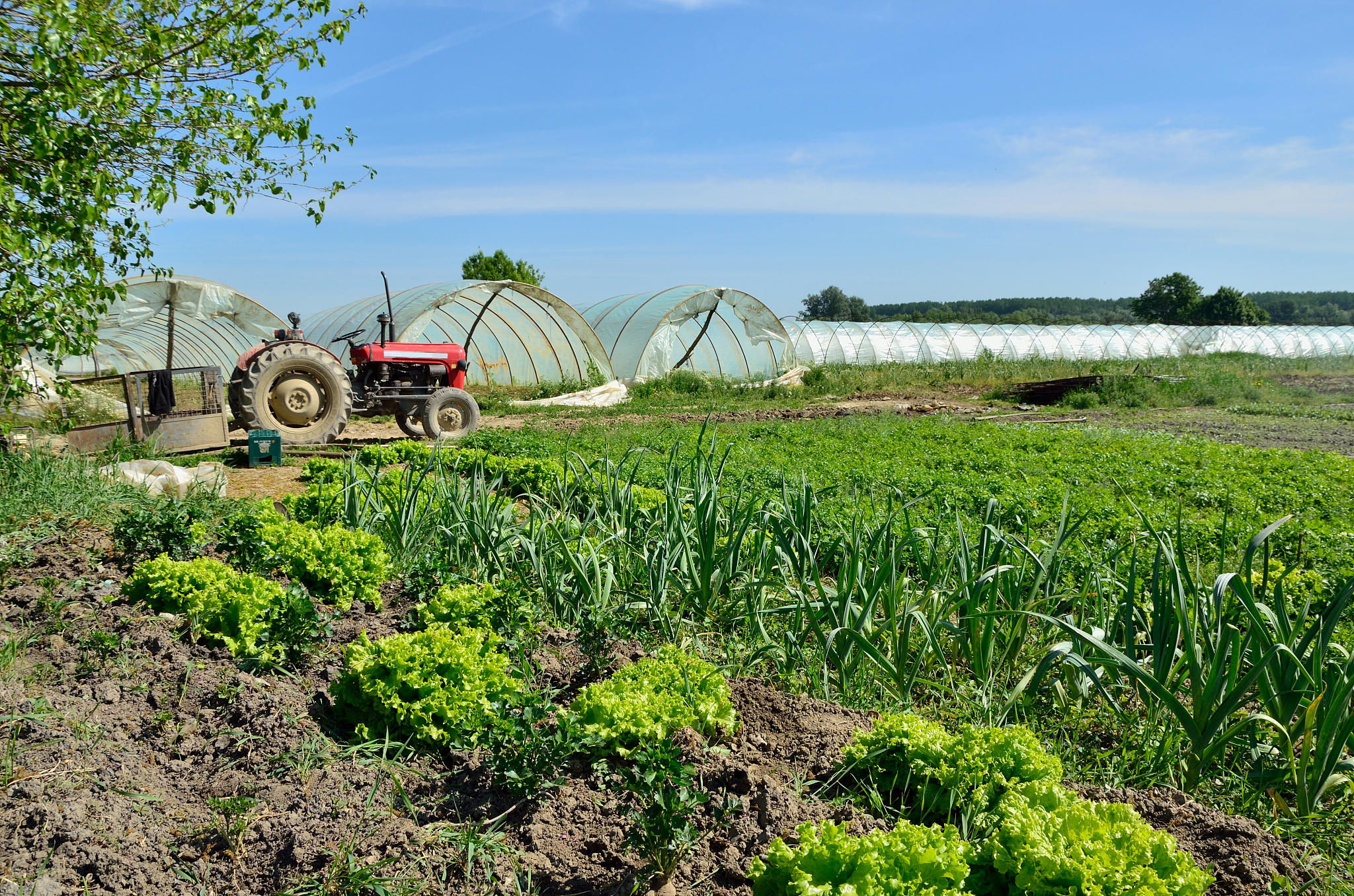 曲靖农业职业学校2019年五年制大专招生报名：多个专业任你选！