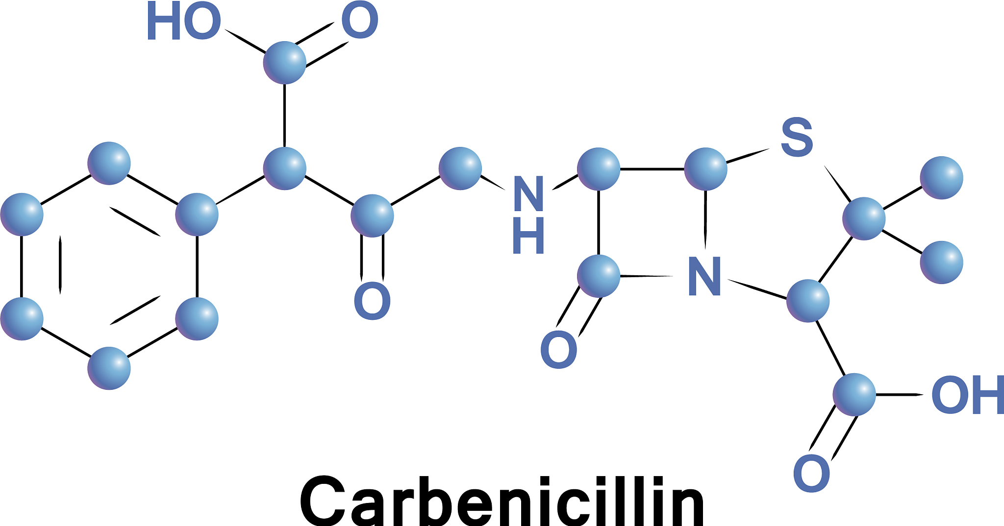 在ExPASy网站httpwwwexpasyorg查找获得杨树KTHAKKUP基因的相对分子质量、氨基酸数量、不稳定系数等理化性质。在WoLF PSORT网站httpswolfpsorthgcjp对杨树KTHAKKUP基因进行亚细胞定位。换个说法