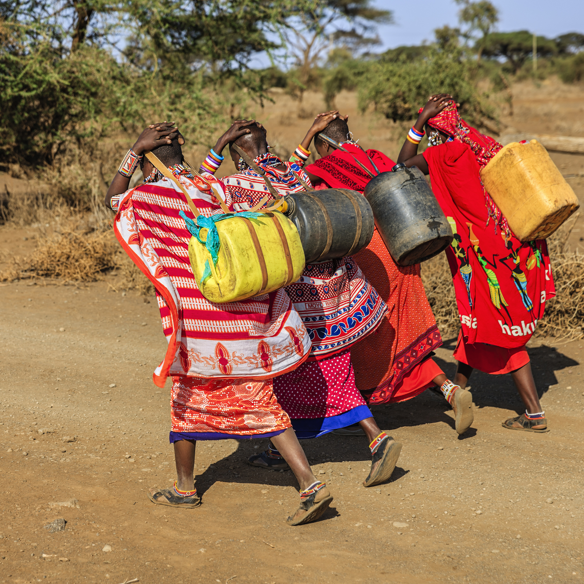 african women from maasai tribe carrying water, kenya, east afri