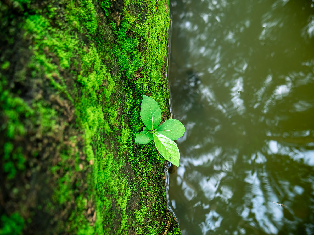 但我们在下雨前赶上了这场漂亮的亚风暴。看到绿色的柱子在被雨淋着的时候随着肉眼跳舞是很奇怪的。经典哇