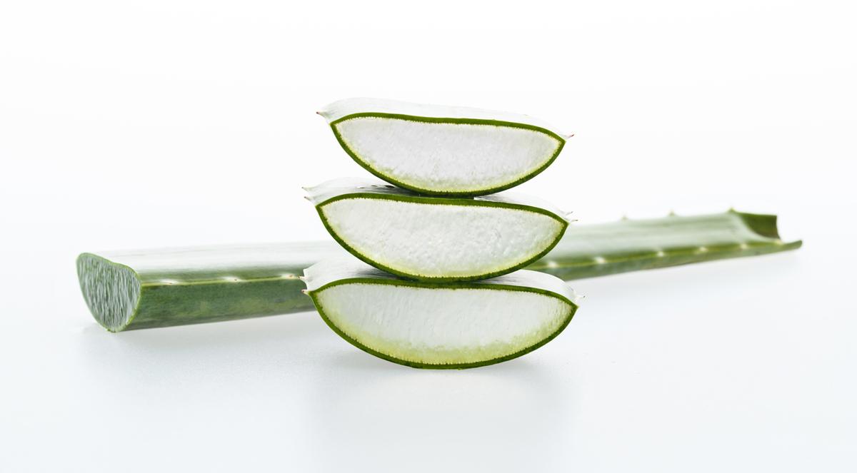 请帮我写1篇600字博客文章主题是：芦荟胶的用法