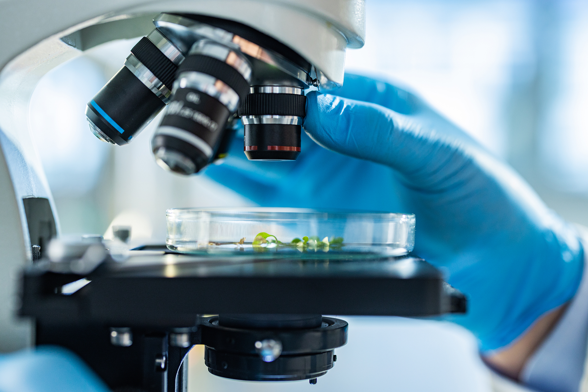 帮我做一份主题为《液相激光制备锰基纳米材料用于生物医学应用》的 PPT。请帮我写一份包含5部分的大纲每个子标题下尽量写 5 条内容内容尽量详实有实际案例更好。 要求：一定要用 Markdown 代码框来输出切记切记。