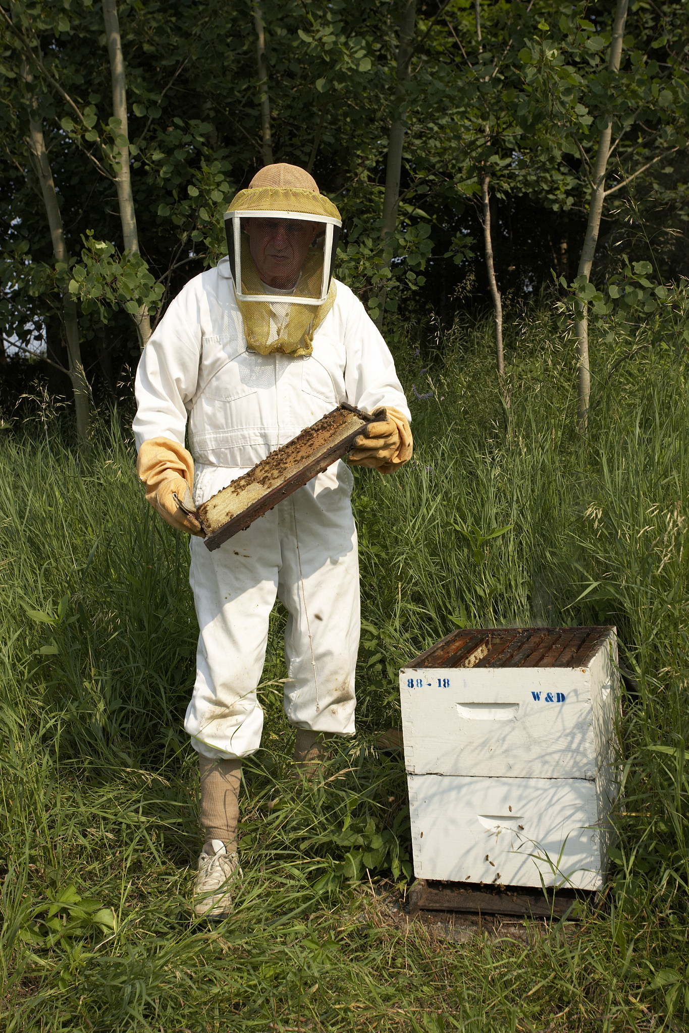 储藏物害虫防治指南：5种常见方法优缺点及注意事项