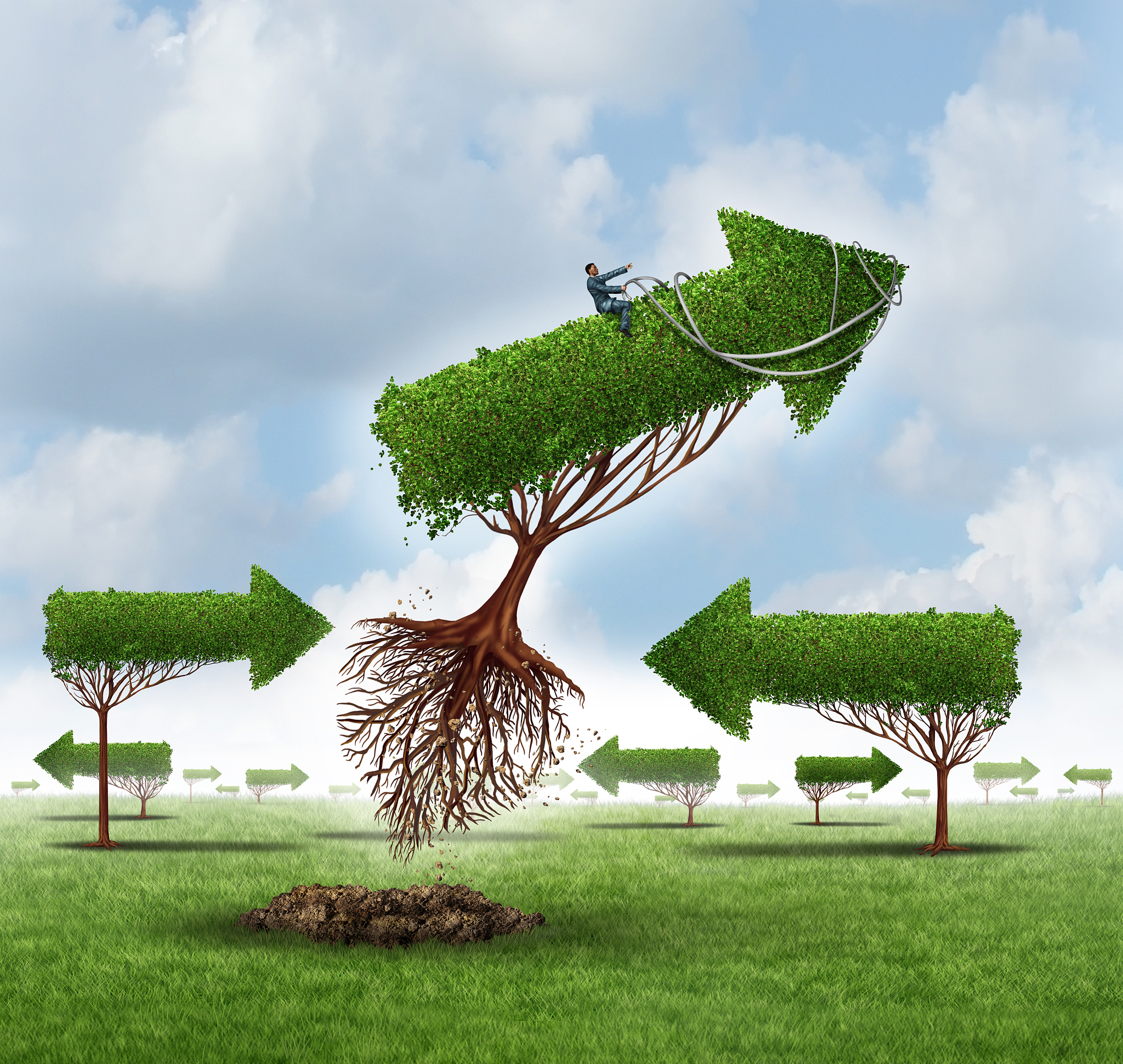 森林复苏：全球森林覆盖率正在增加！