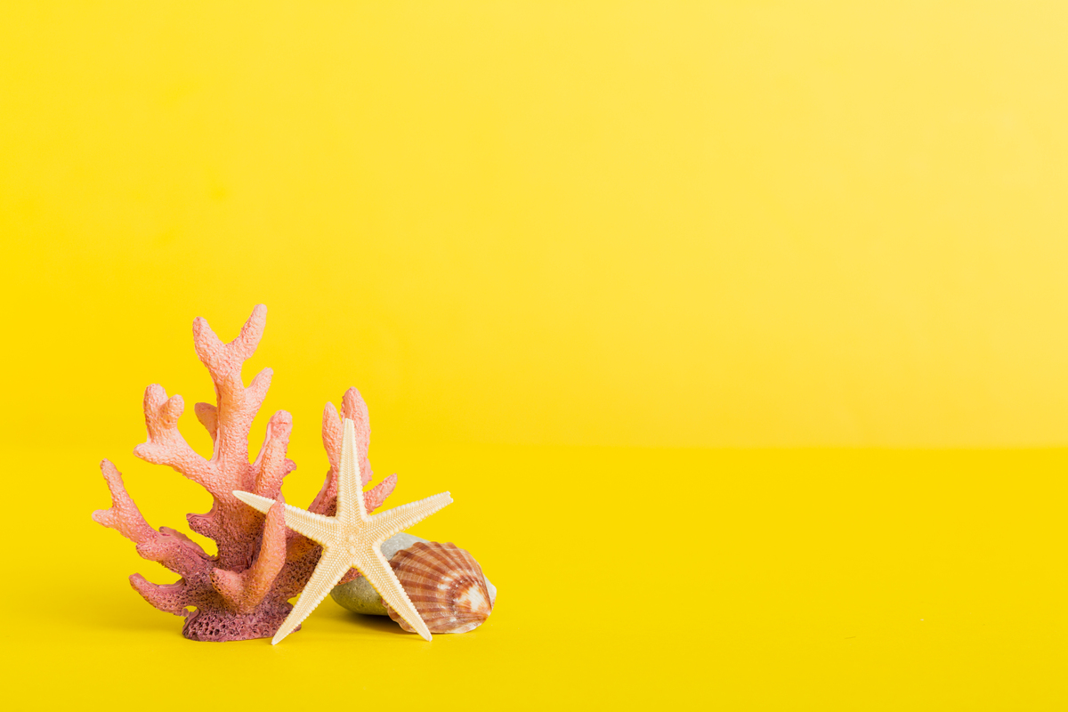 精选iPad壁纸网站推荐，打造个性化平板体验