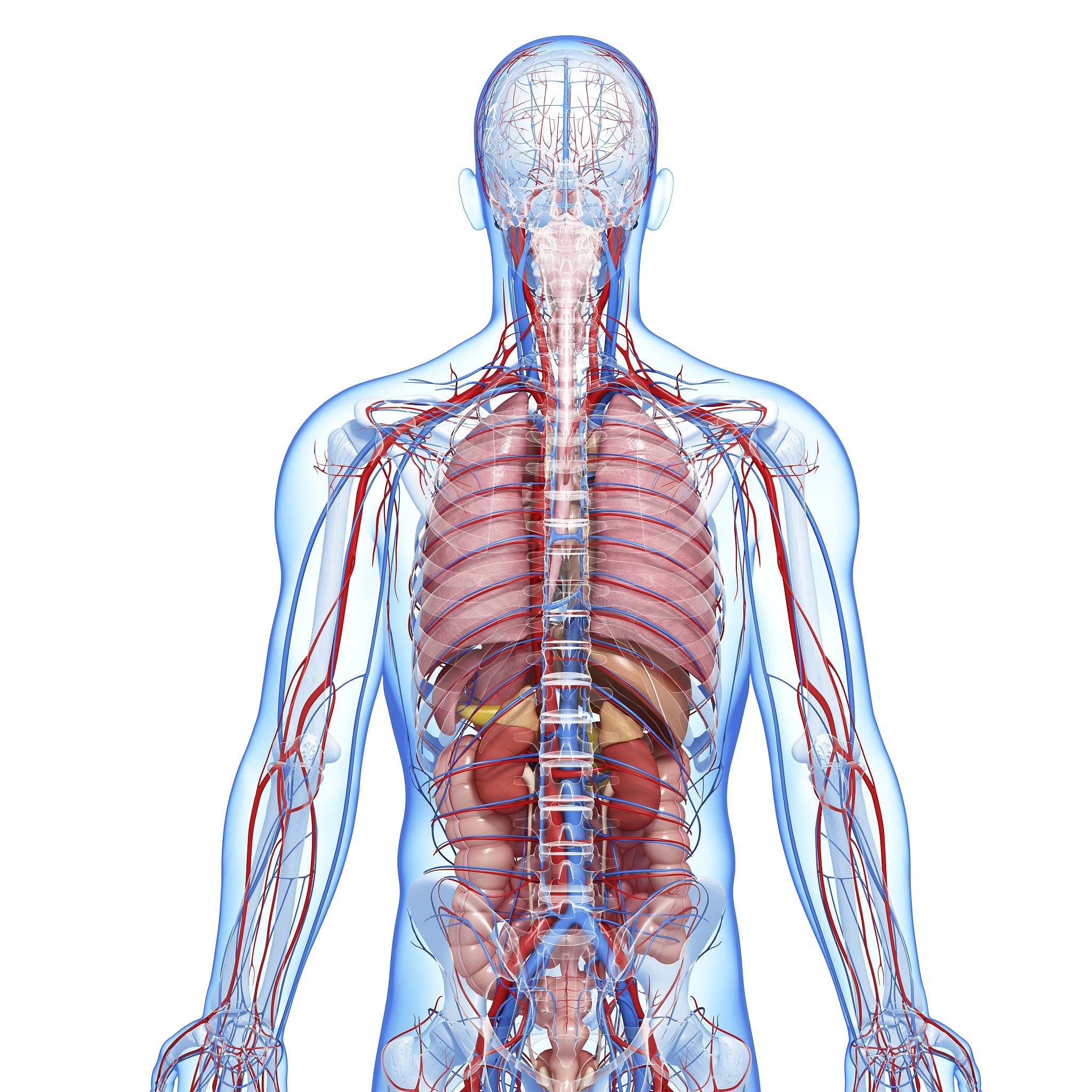 临沂理工学校招生专业介绍 - 电子信息、机械、土木等热门专业