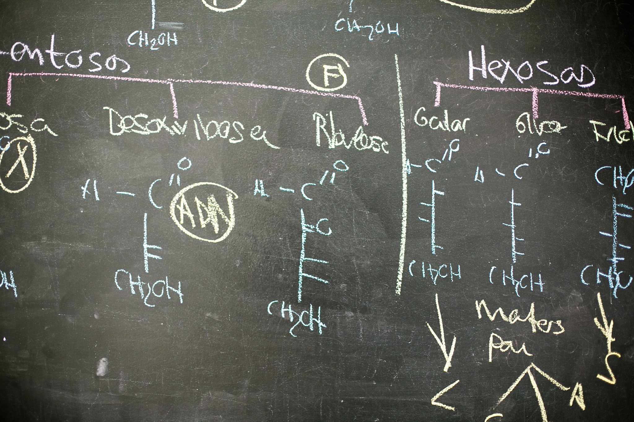 organic chemistry on blackboard