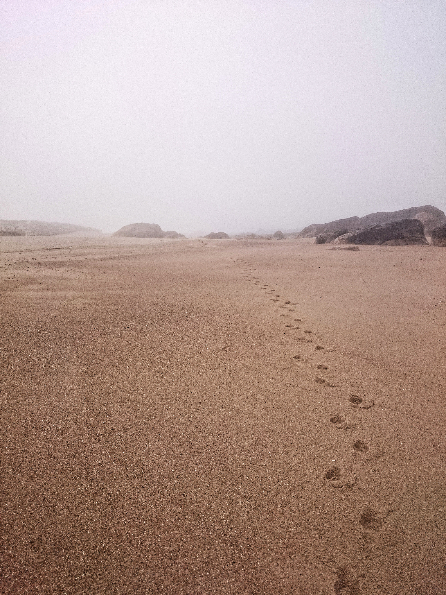 seascape with traces