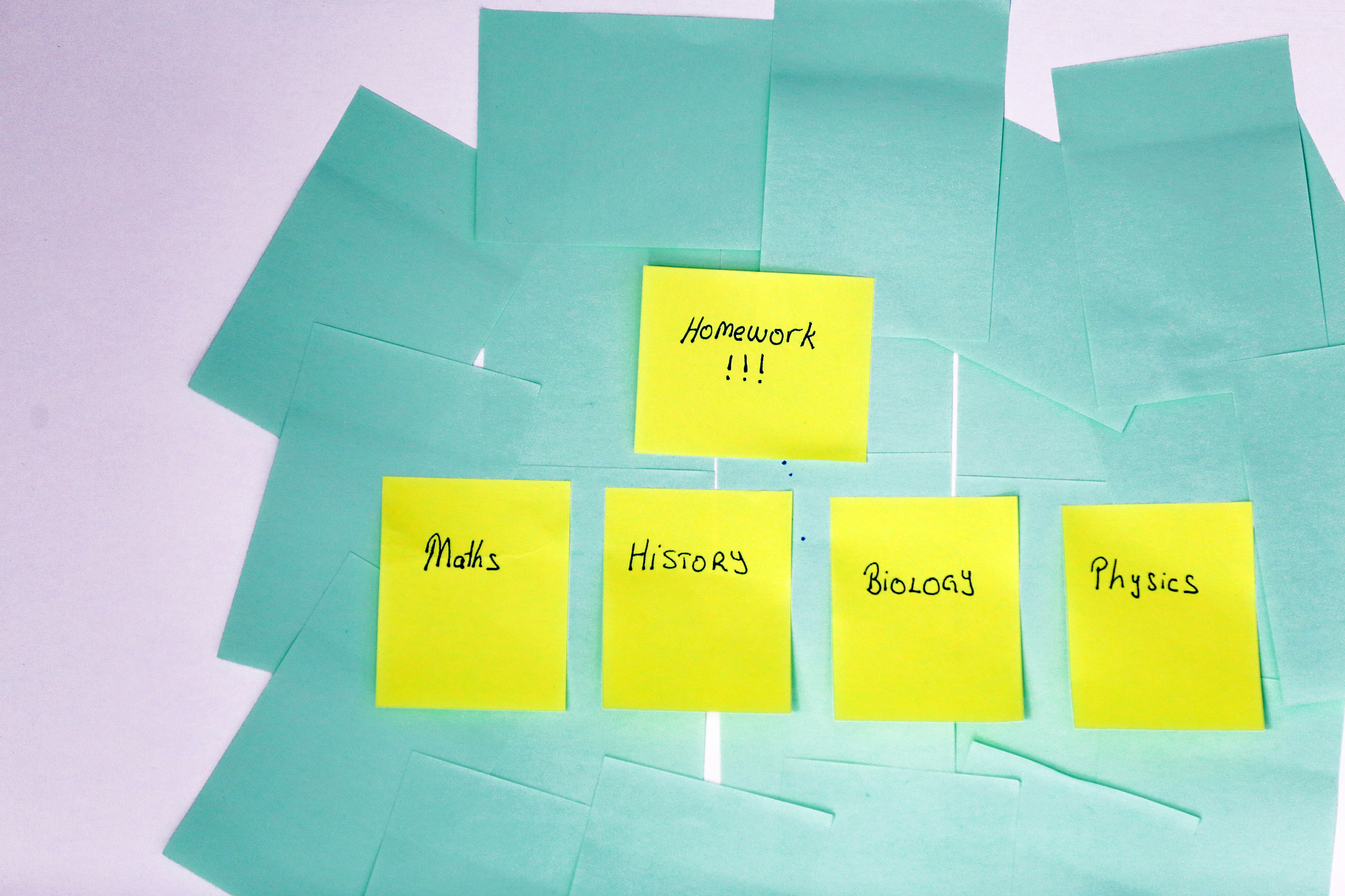 合作学习策略在高中生物数学中的应用 的例子