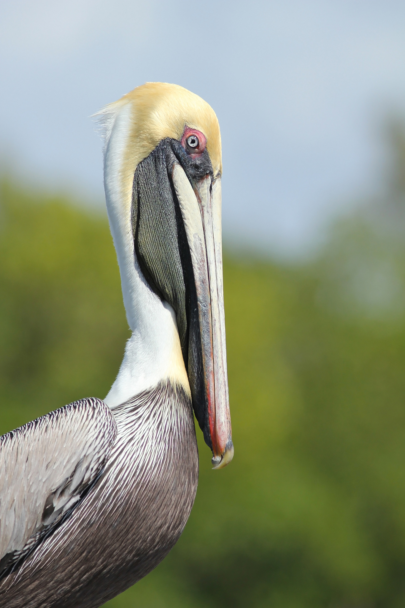 湖北传媒摄影技师学院2023年招生简章：选择最适合你的摄影专业