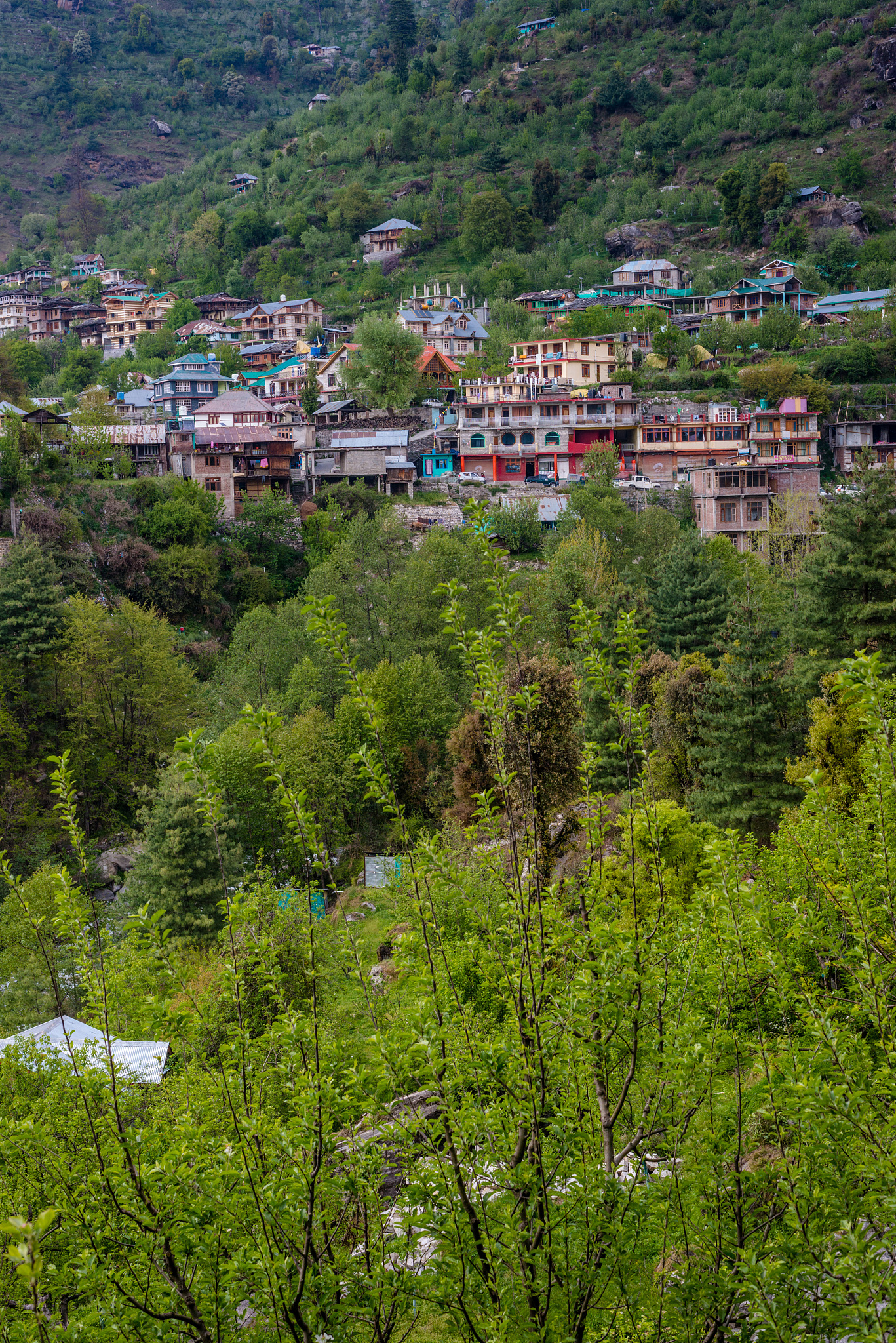 photo of himalayan village in manali