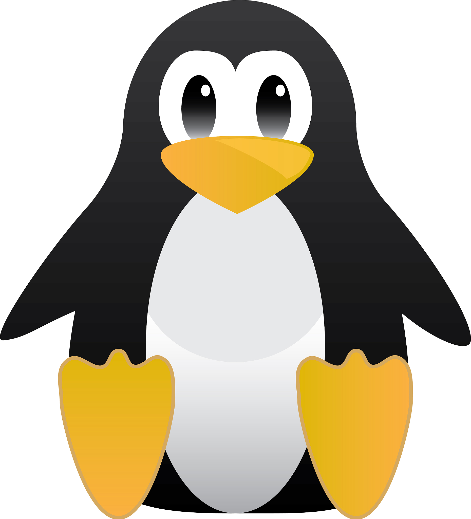 启动 Linux的命令是什么？