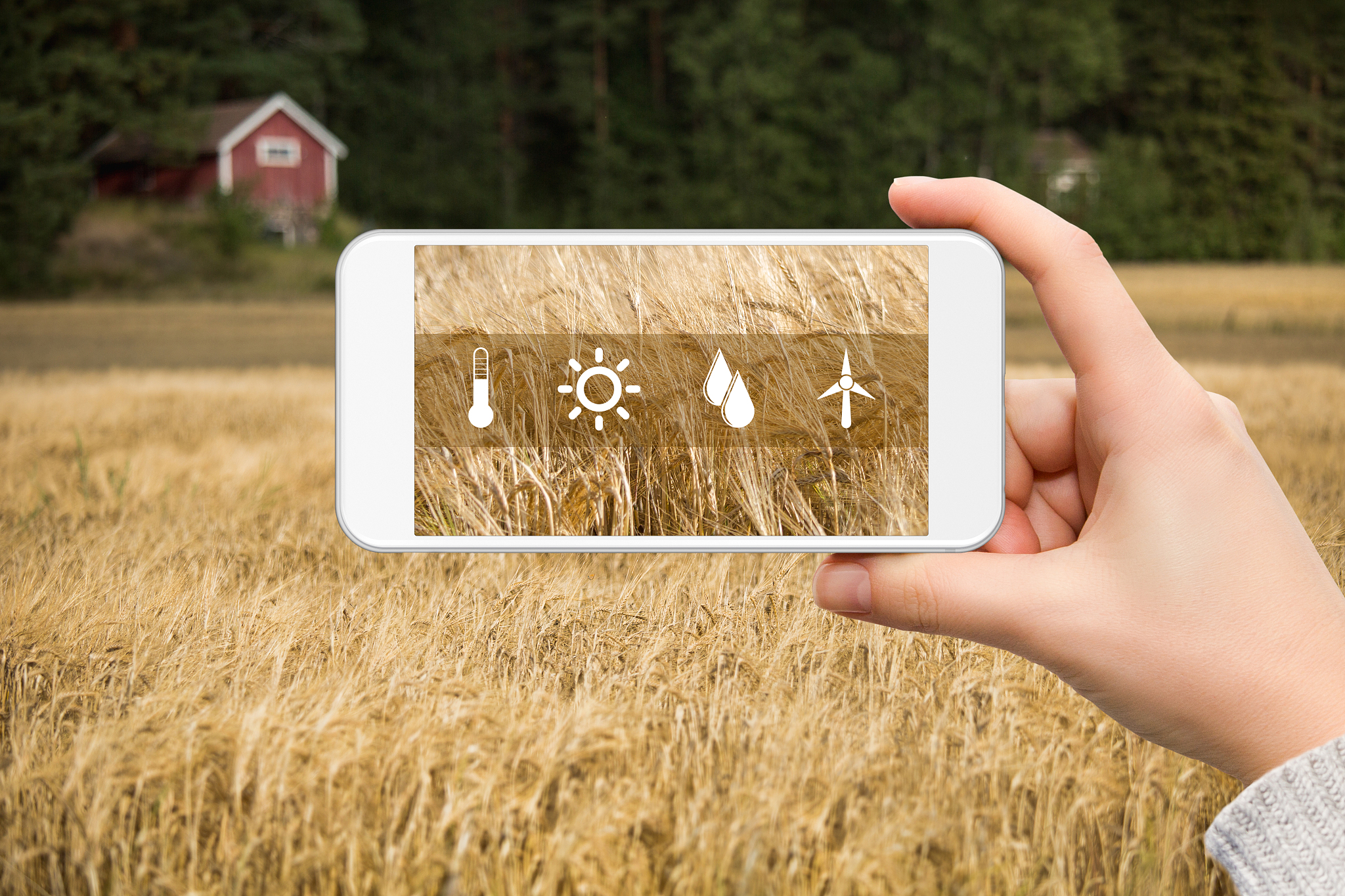 中兴通讯助力埃及村通项目，推动农村数字化发展