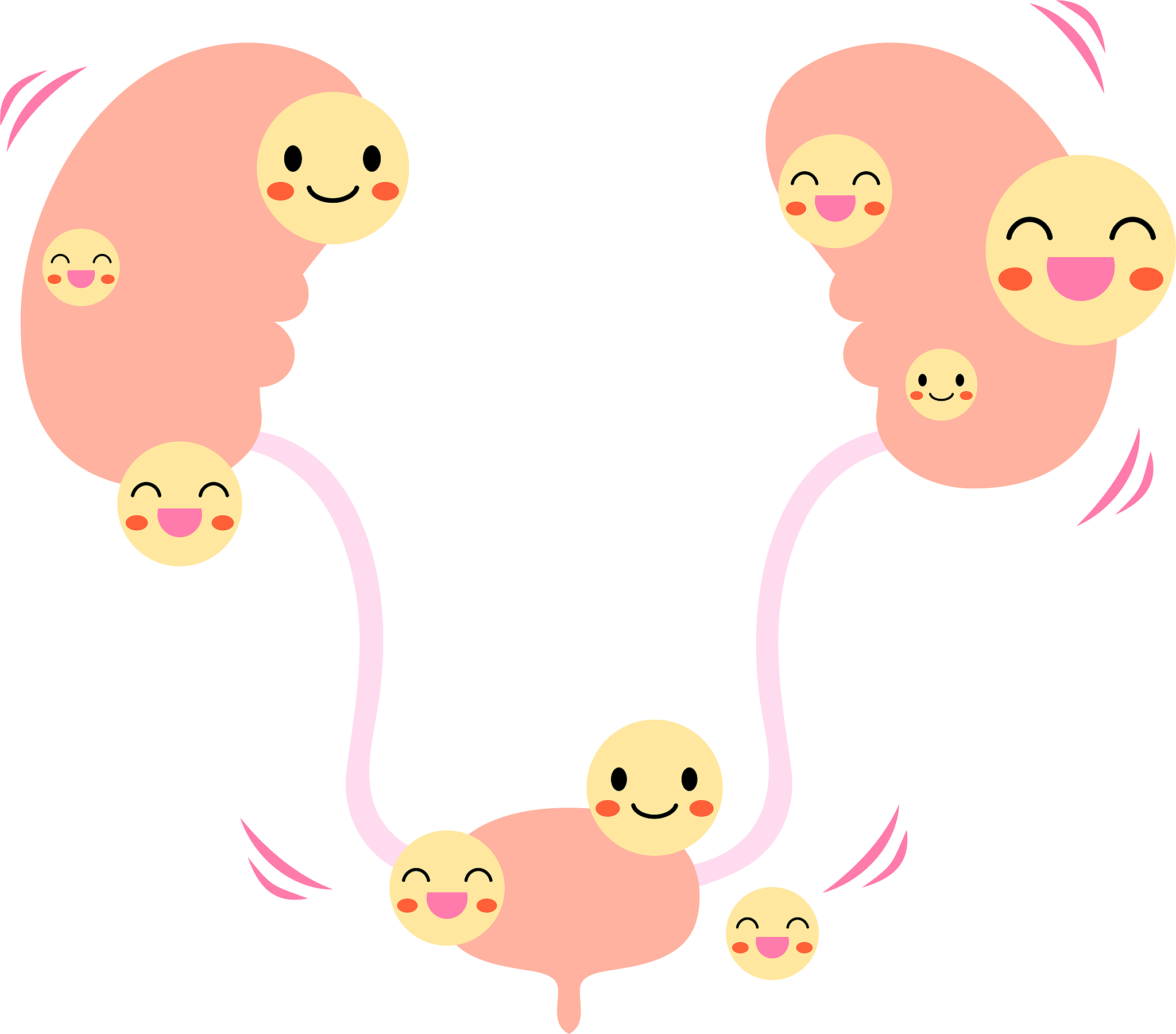 1例肾病糖尿病患者个案护理