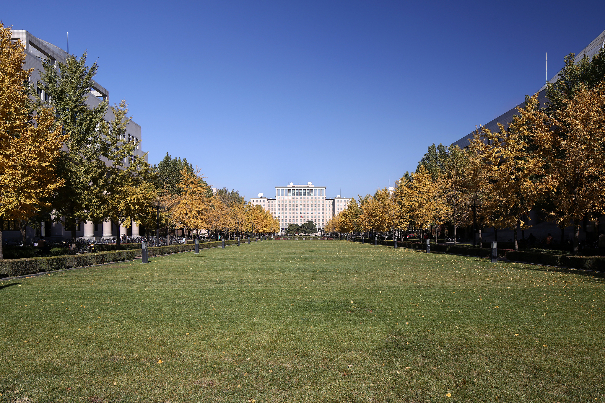 清华大学