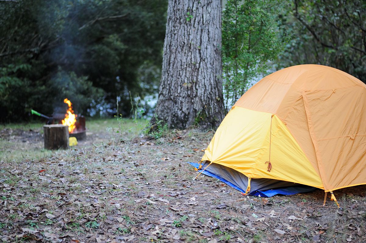 野战生存露营评分细则