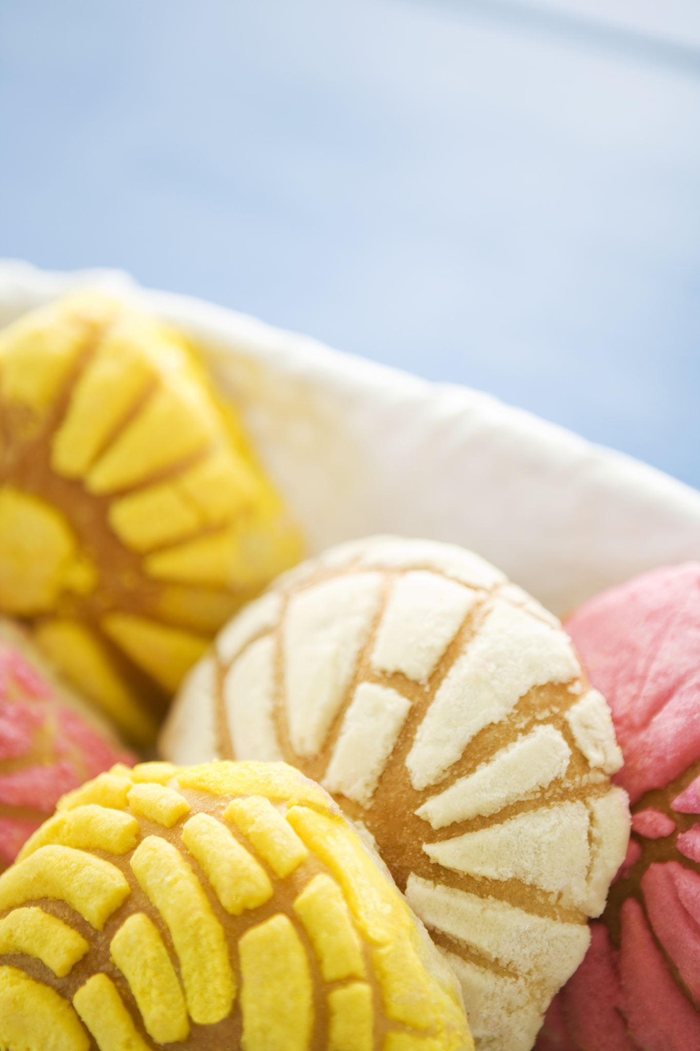 广州城市职业学院食品生物技术专业如何好学吗