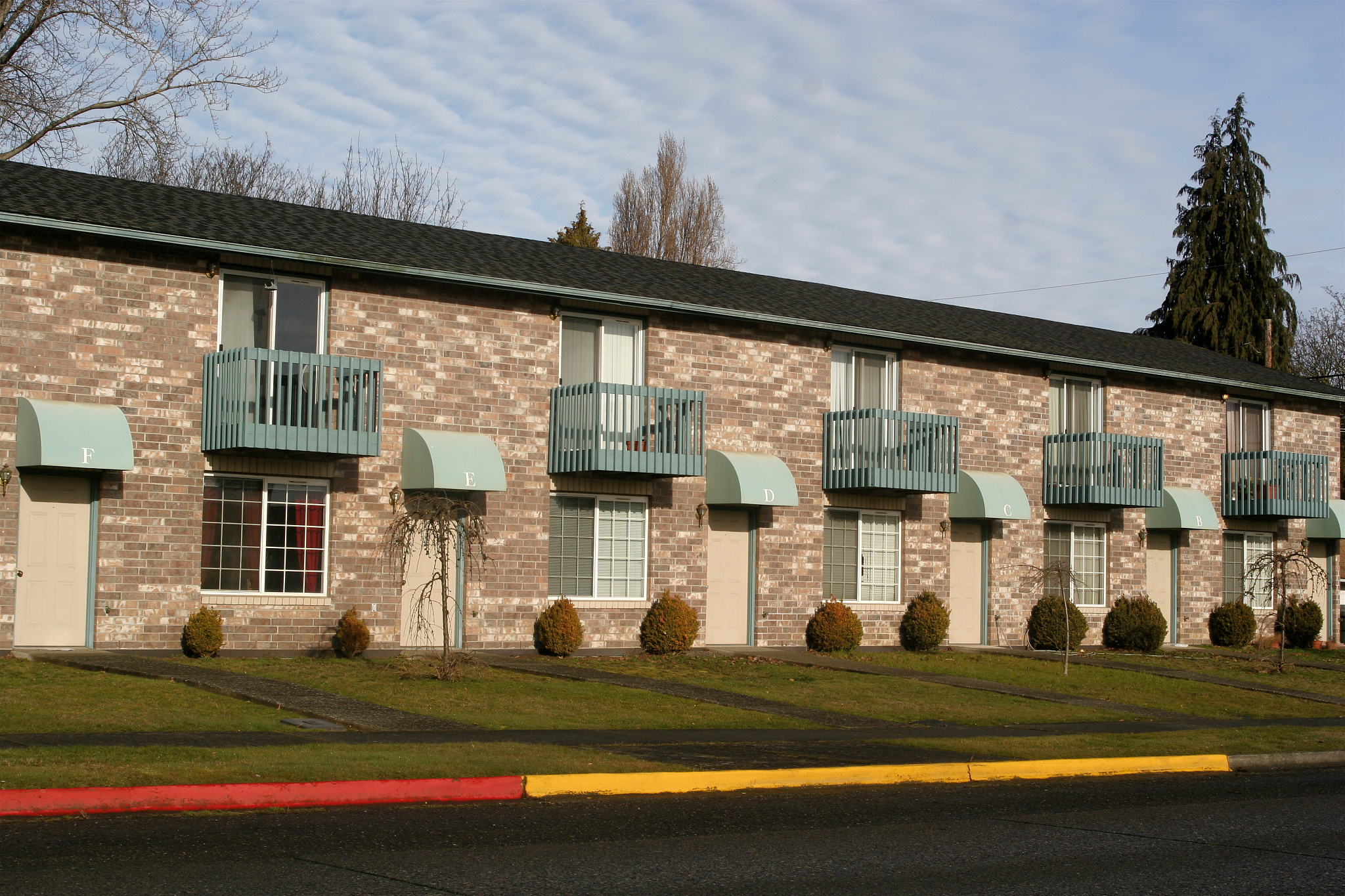 我的大学生活我做主：规划与实践