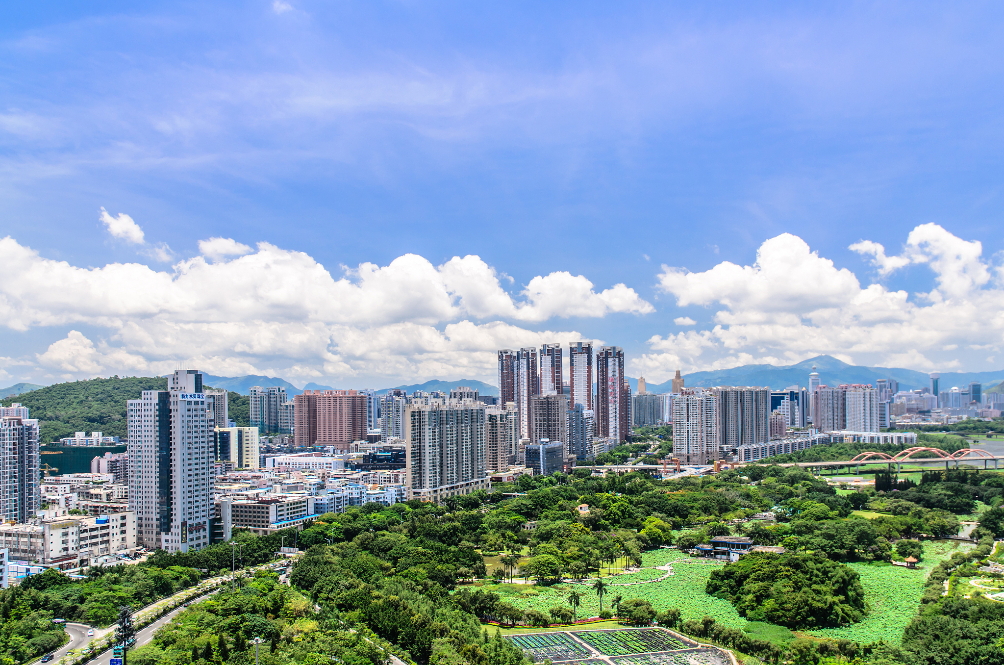 building of shenzhen