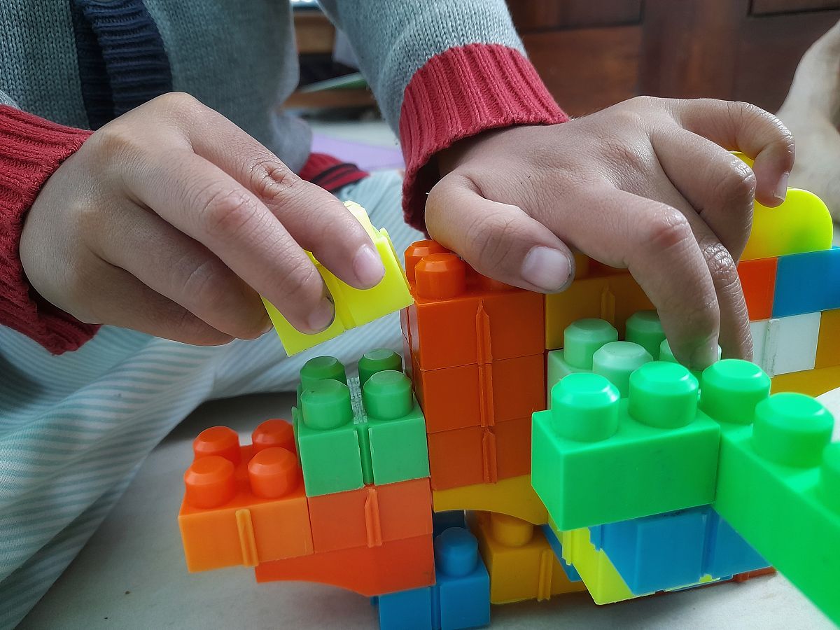 树木积木：创意玩具，激发想象力，保护自然