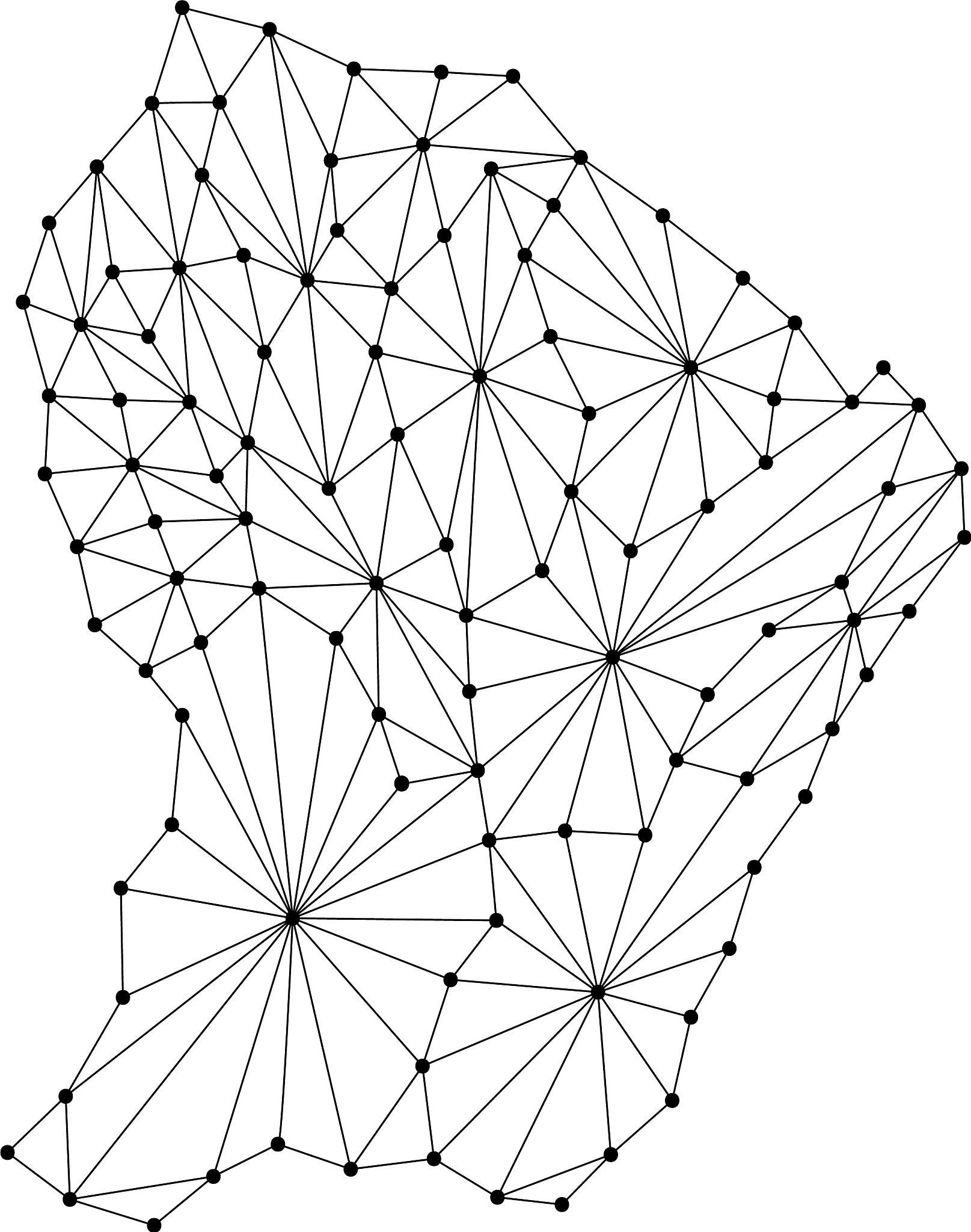 french guiana map of polygonal mosaic lines