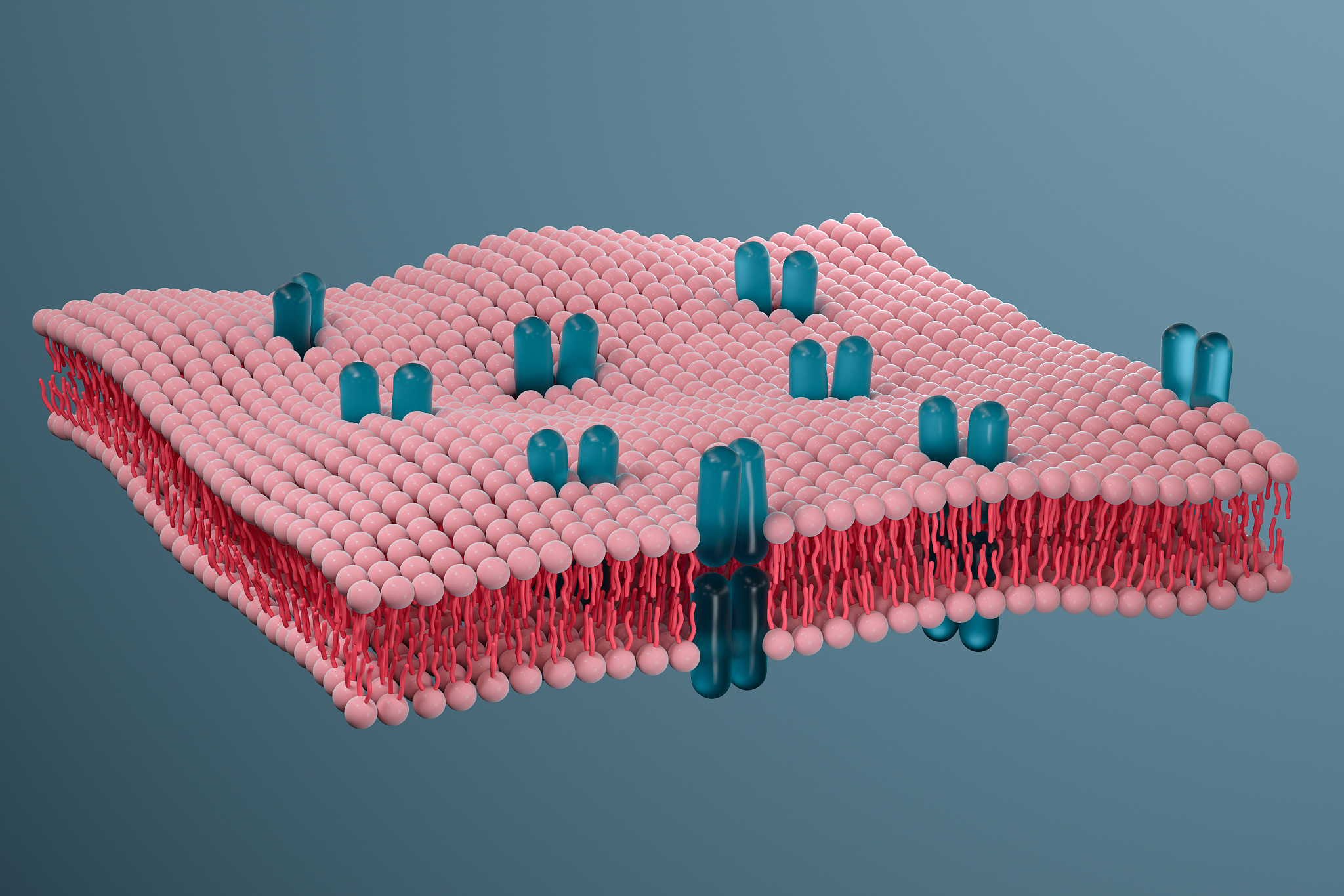 3D Bioprinting Collagen with Precise Control of Composition and Microstructure for Engineering Cardiac Tissues
