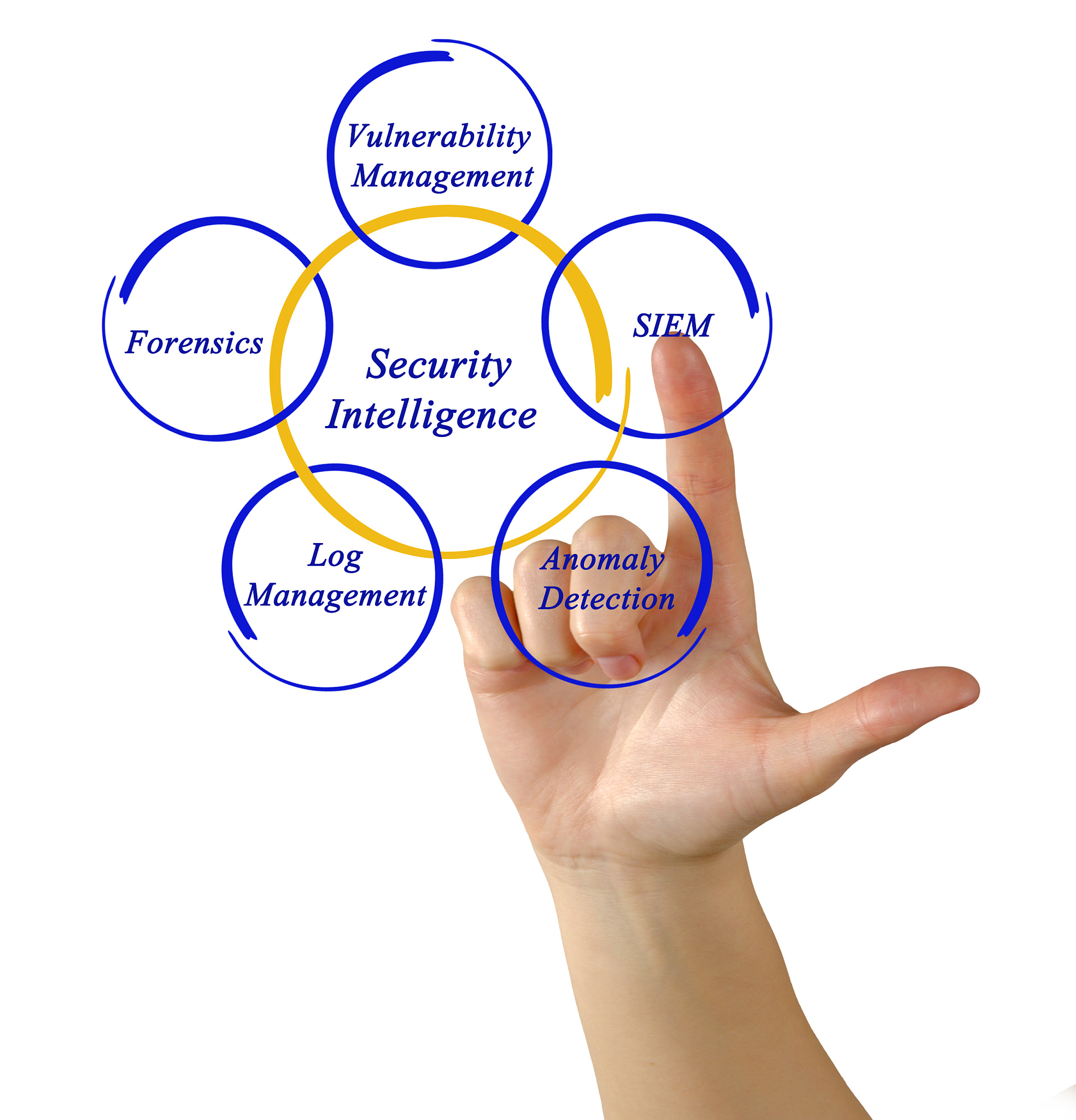 安徽大学江淮学院法学专业怎么样