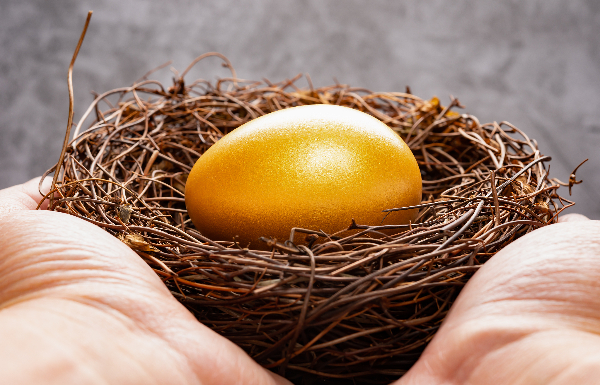 开化县政务外网租用服务项目服务原则解读