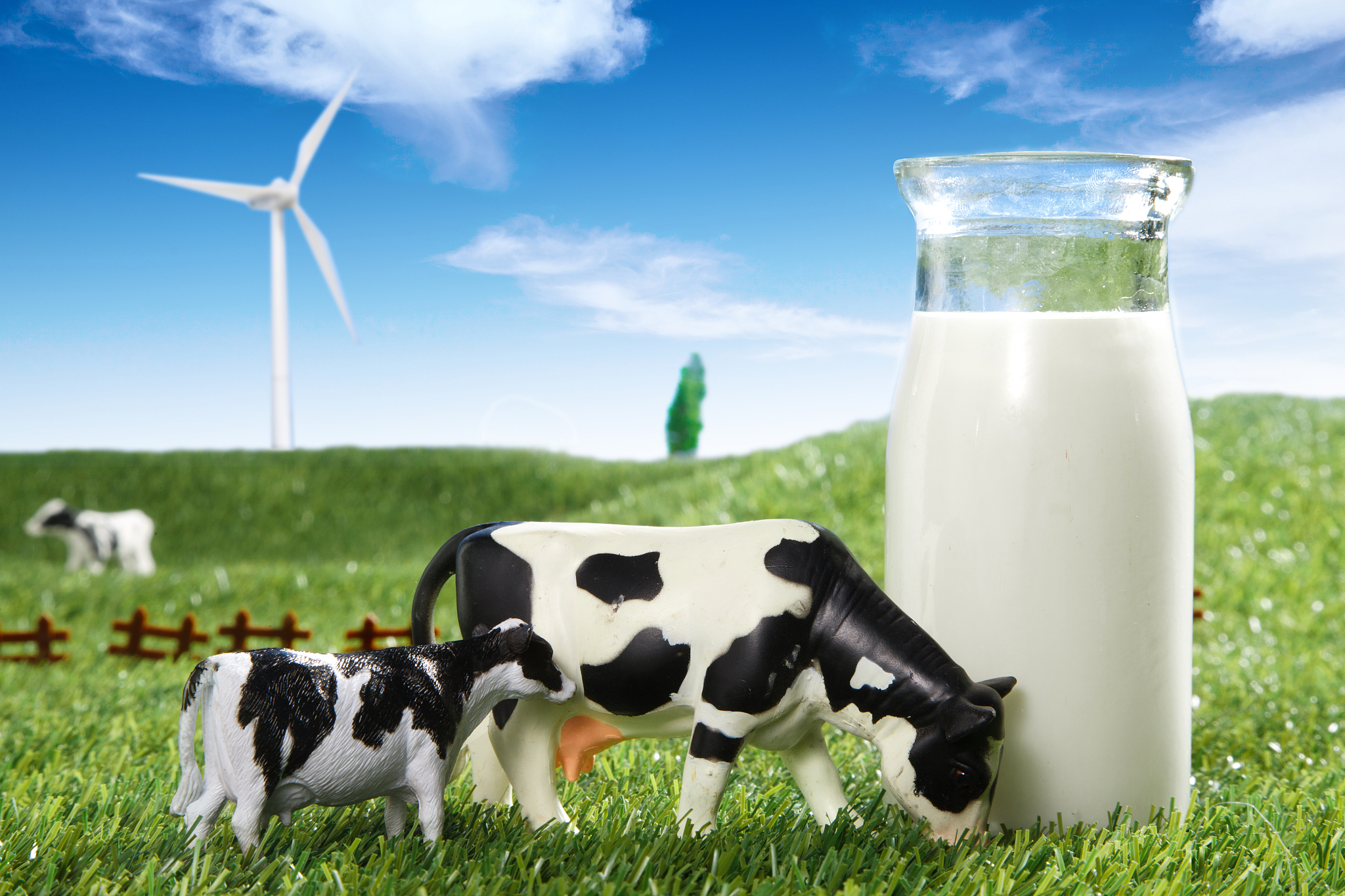 和牛奶有关的东西1 牛：奶牛是产生牛奶的主要来源。不同品种的奶牛产奶量和奶质也不同其中最著名的是荷斯坦奶牛和松山黑牛。2 牛奶：牛奶是由奶牛产生的乳汁制成的。它是一种营养丰富的液体含有蛋白质、脂肪、碳水化合物、维生素和矿物质等成分。3 奶制品：奶制品是由牛奶制成的食品包括奶酪、黄油、酸奶、奶油、冰淇淋等。4 奶糖：奶糖是一种甜食由牛奶、糖和黄油等原料制成。5 奶茶：奶茶是一种饮品由茶叶、牛奶和糖等