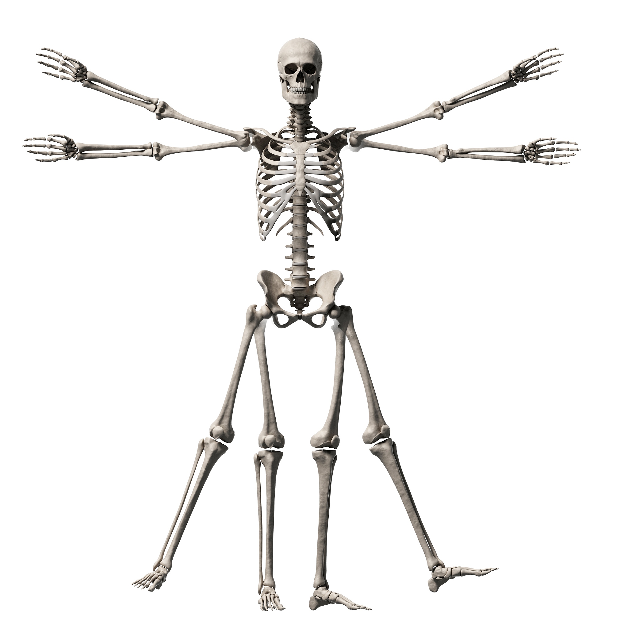 基于模型的人体姿态估计算法详解：原理、方法和优缺点