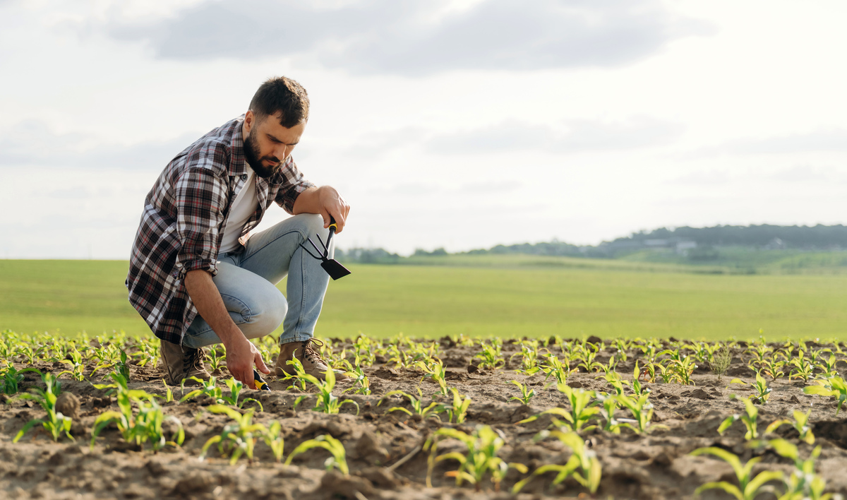 润色下面的这句话 We acknowledge all those who provided local farmer survey and field trials