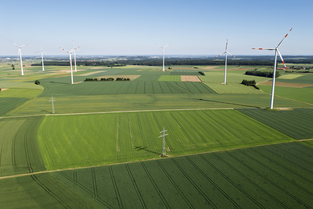 国家电网助农工程：助力乡村振兴，促进农业发展