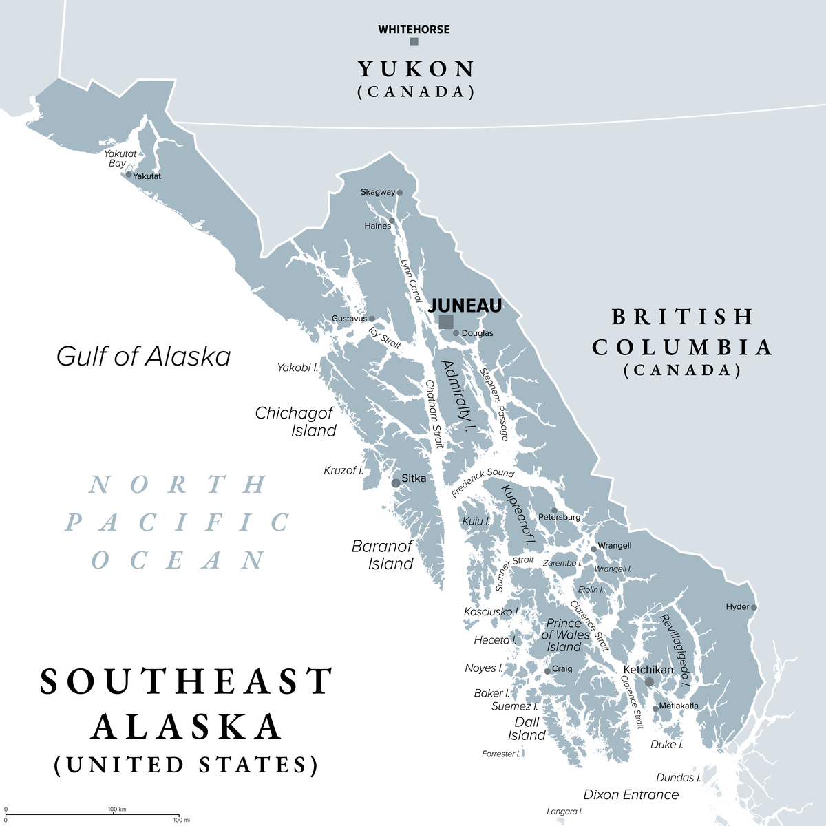 US Senator's Beer Habit: A Satirical Poem