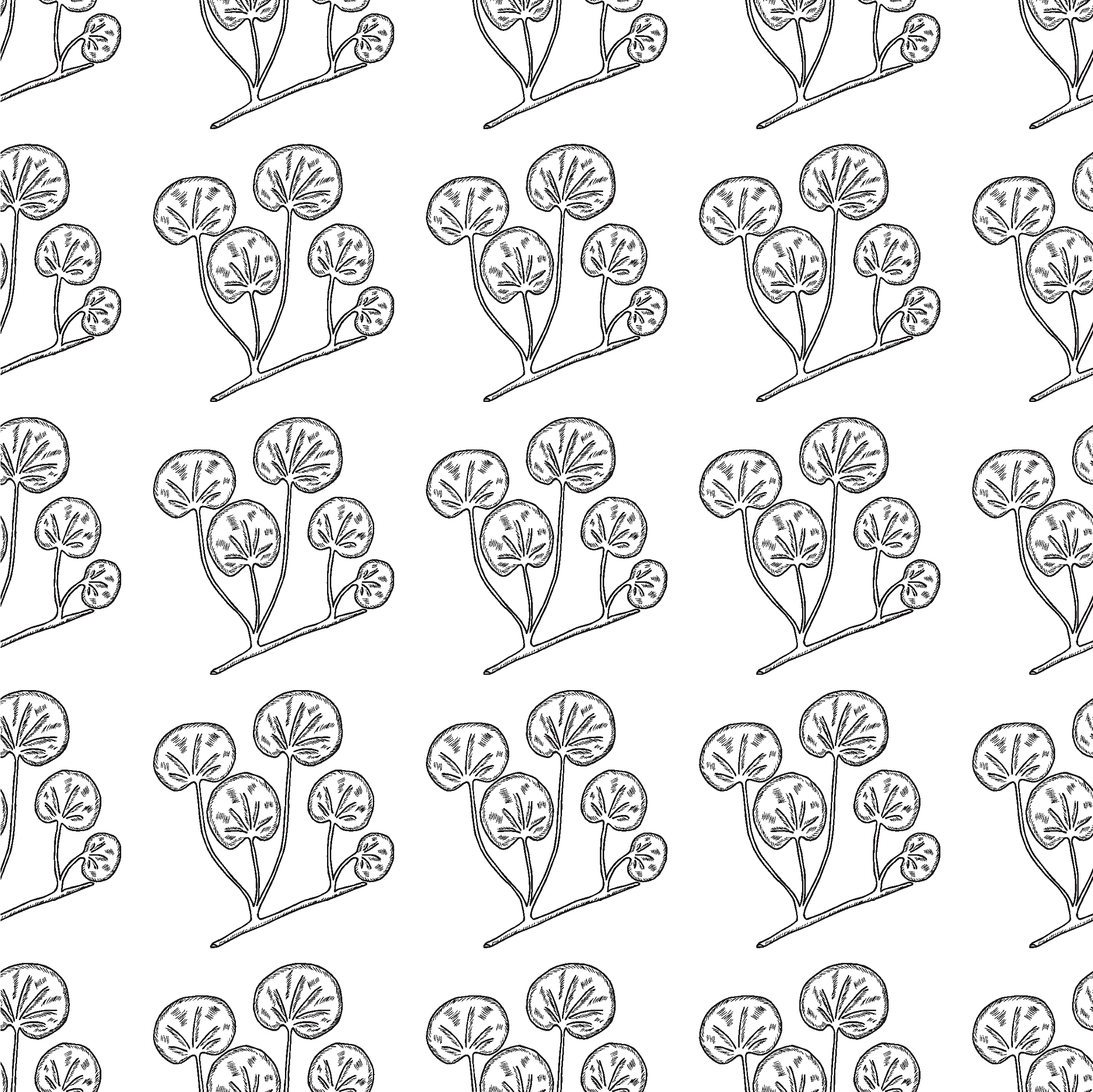 医学营养专业学习指南：从基础到实践，掌握未来职业技能