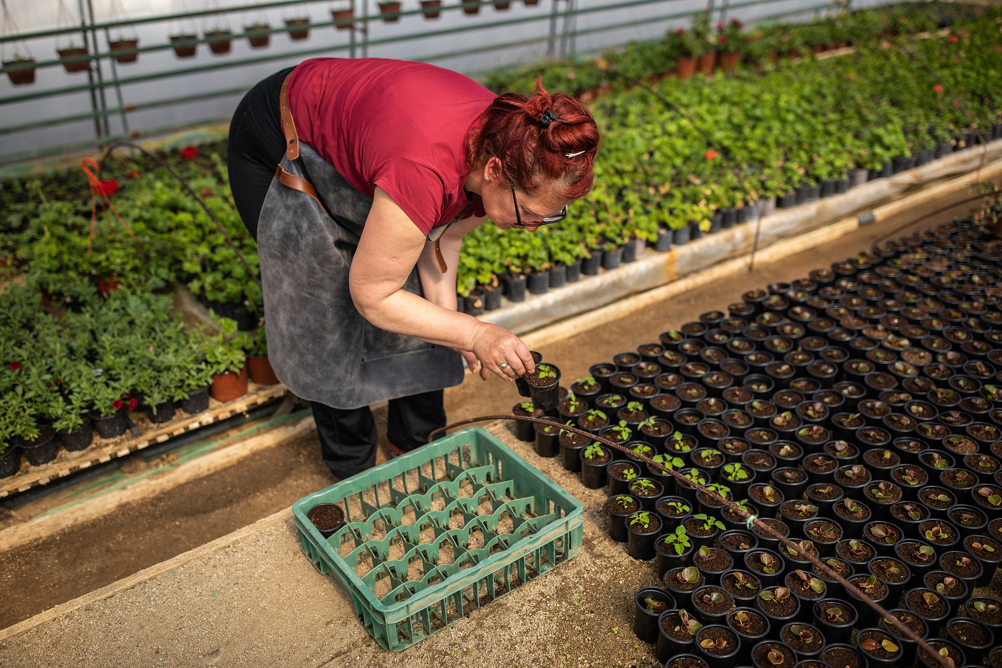凉山农业学校2020年春季招生简章 - 培养优秀的农业人才