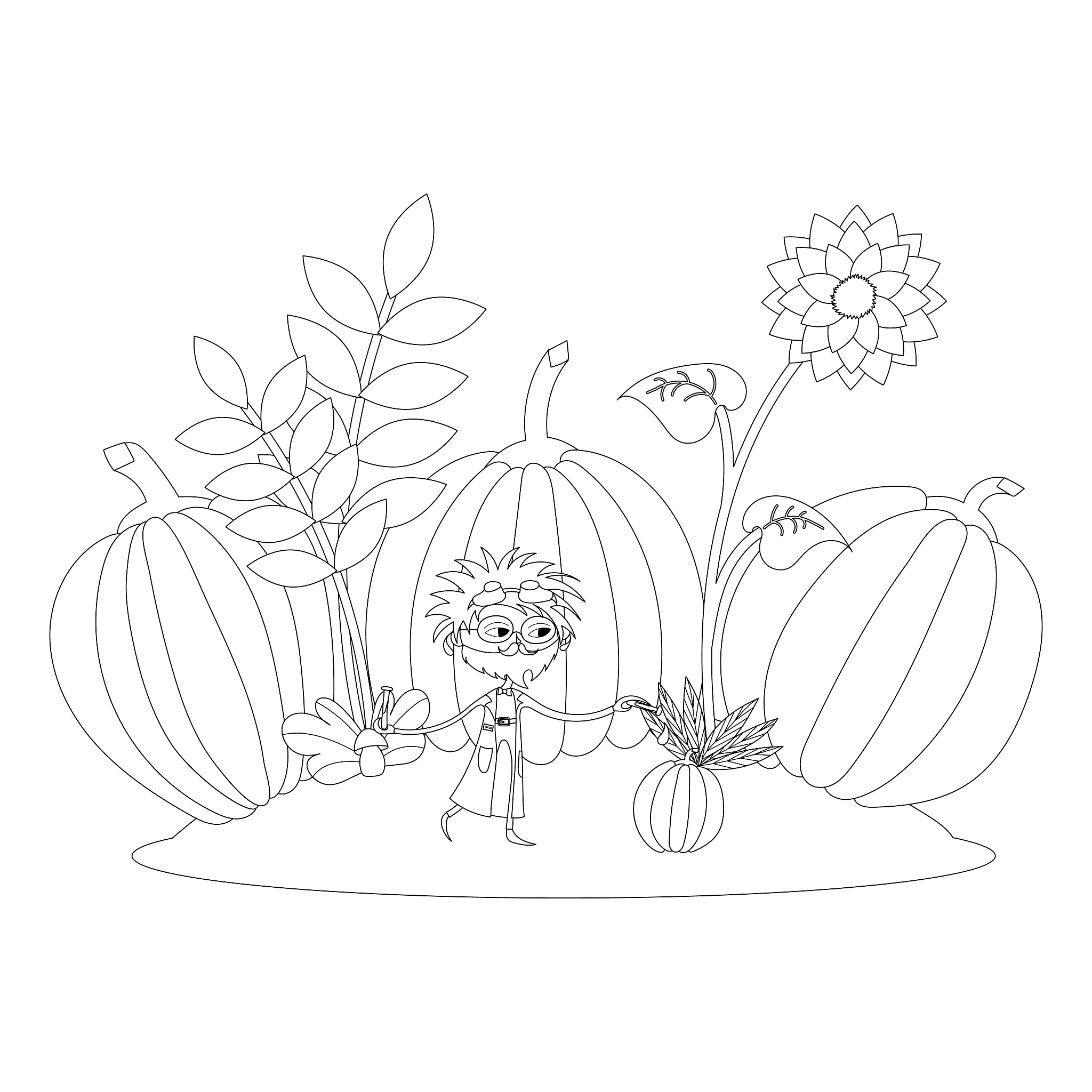 4-6岁科学二阶课程结课总结：XX的科学之旅