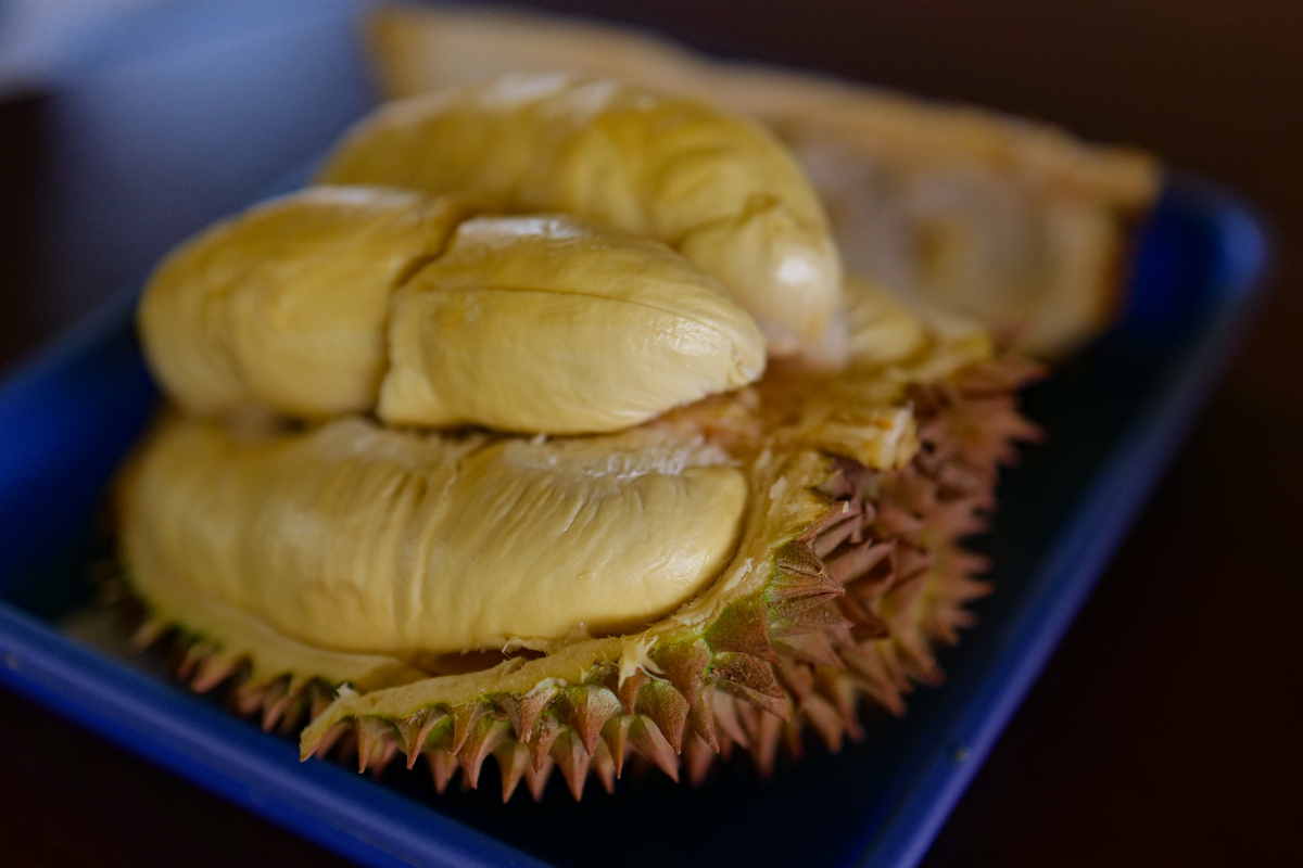 晚上能不能吃榴莲什么时候吃合适