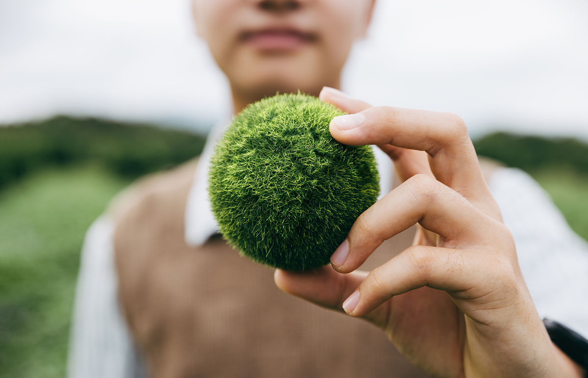 希望小学工程项目绿色施工管理效益分析