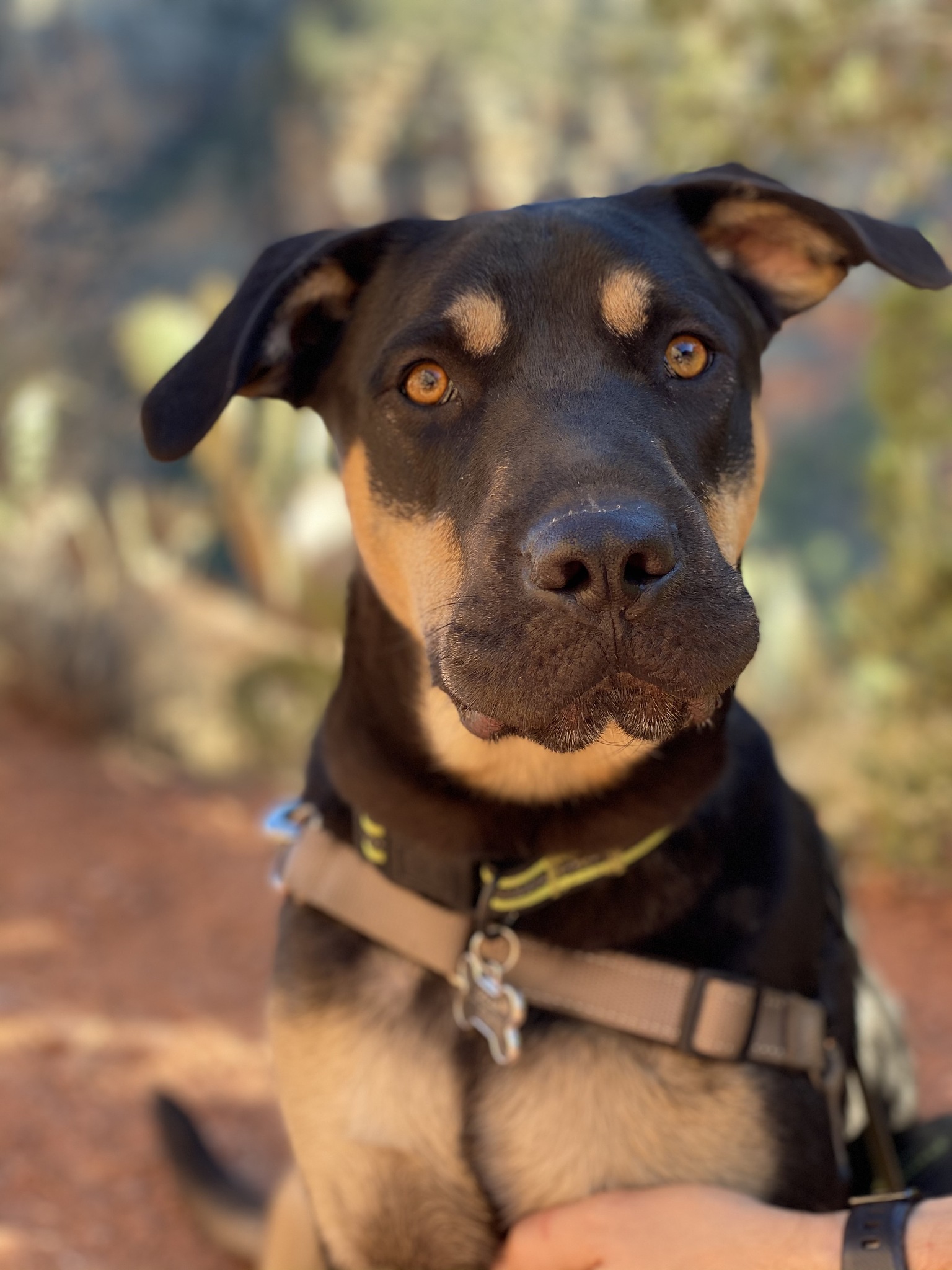 有关个人价值的名言