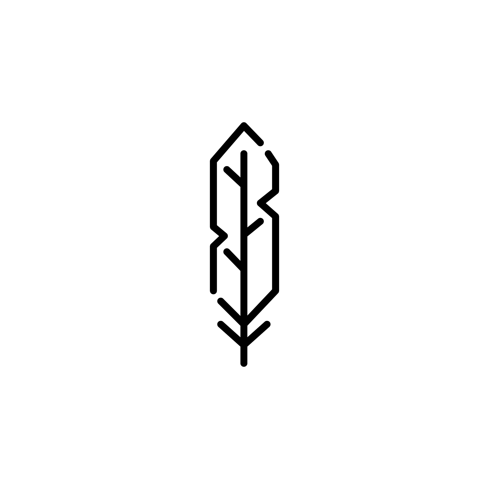 plume icon