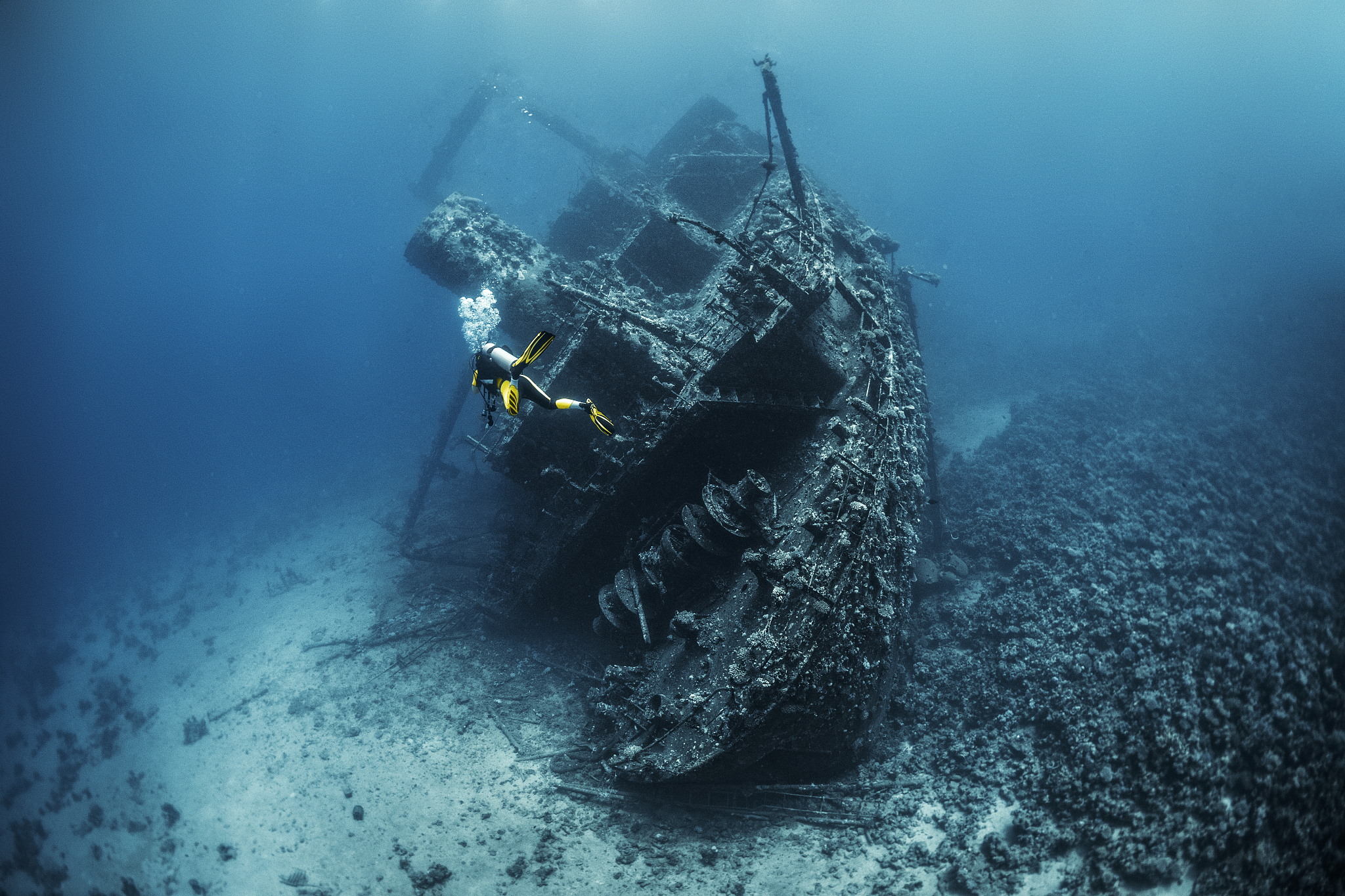 scuba diver diving towards the shipwreck on the bottom of the re