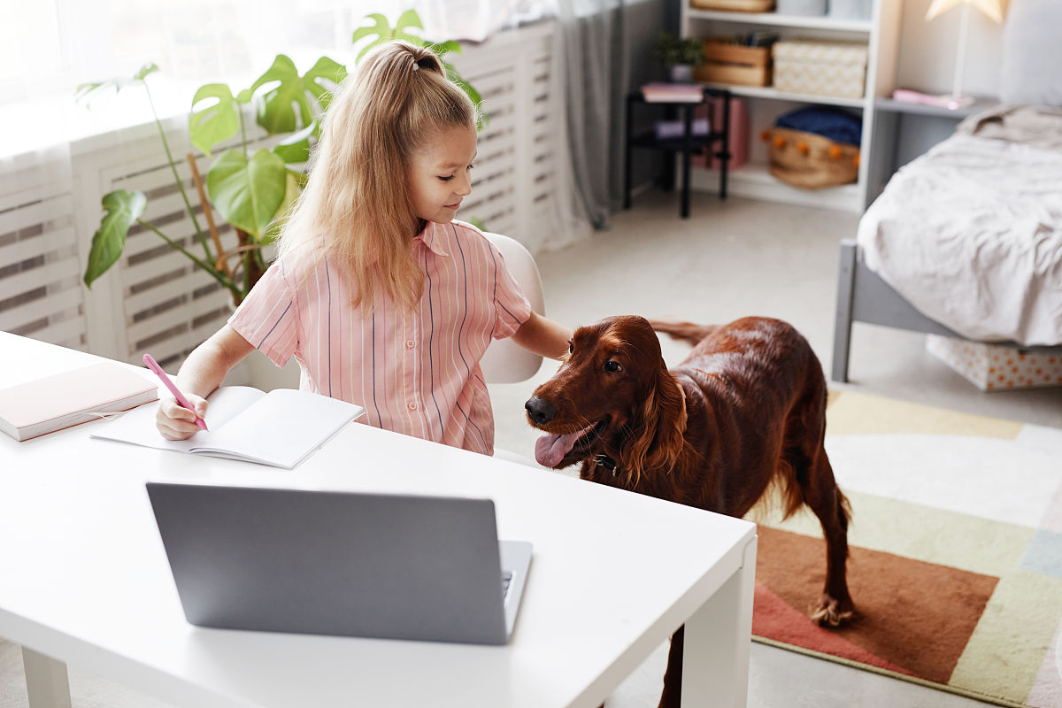 英语作业收取通知 - 详细&简略版本