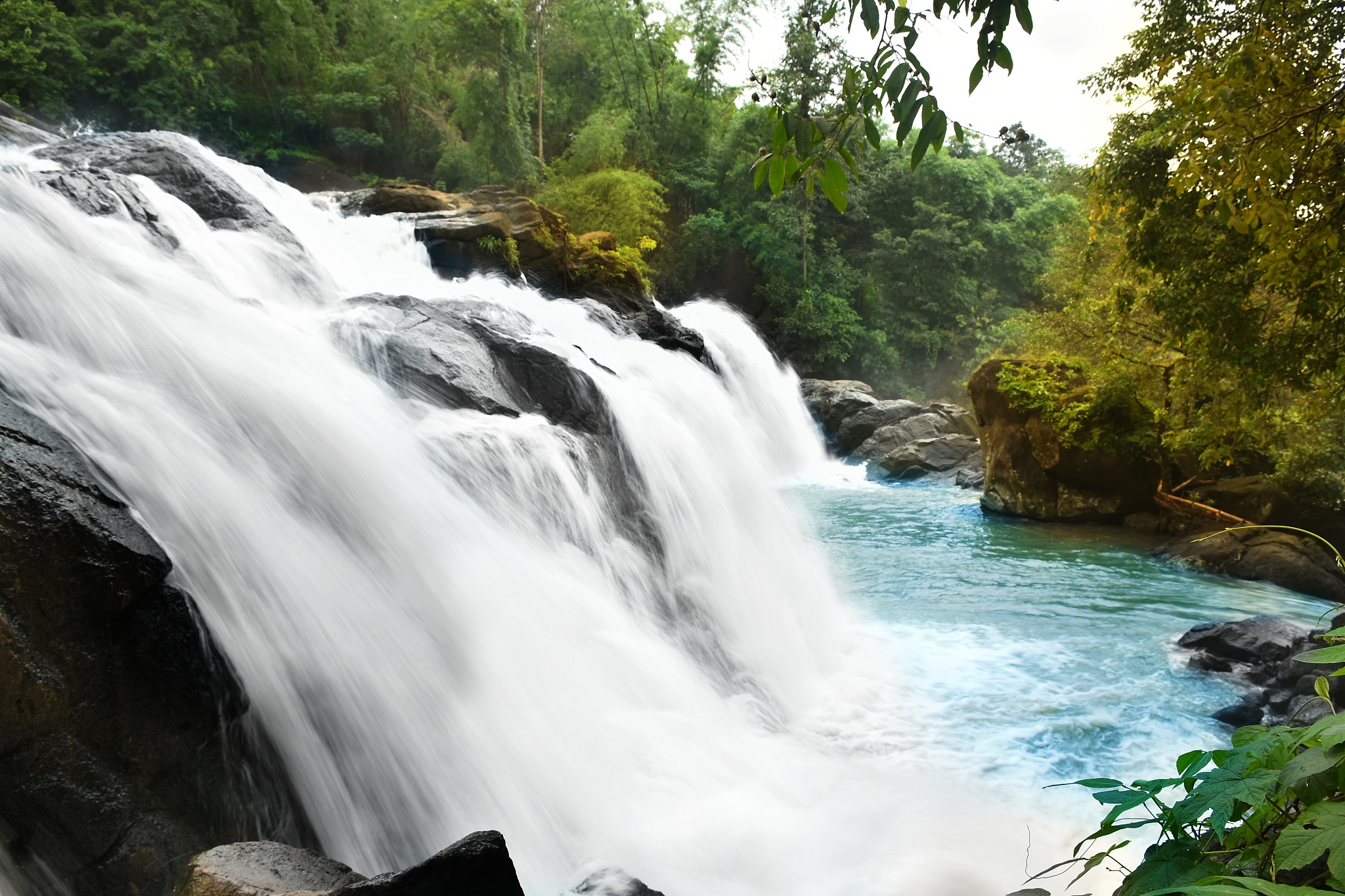 青岛旅游学校2023年有哪些专业