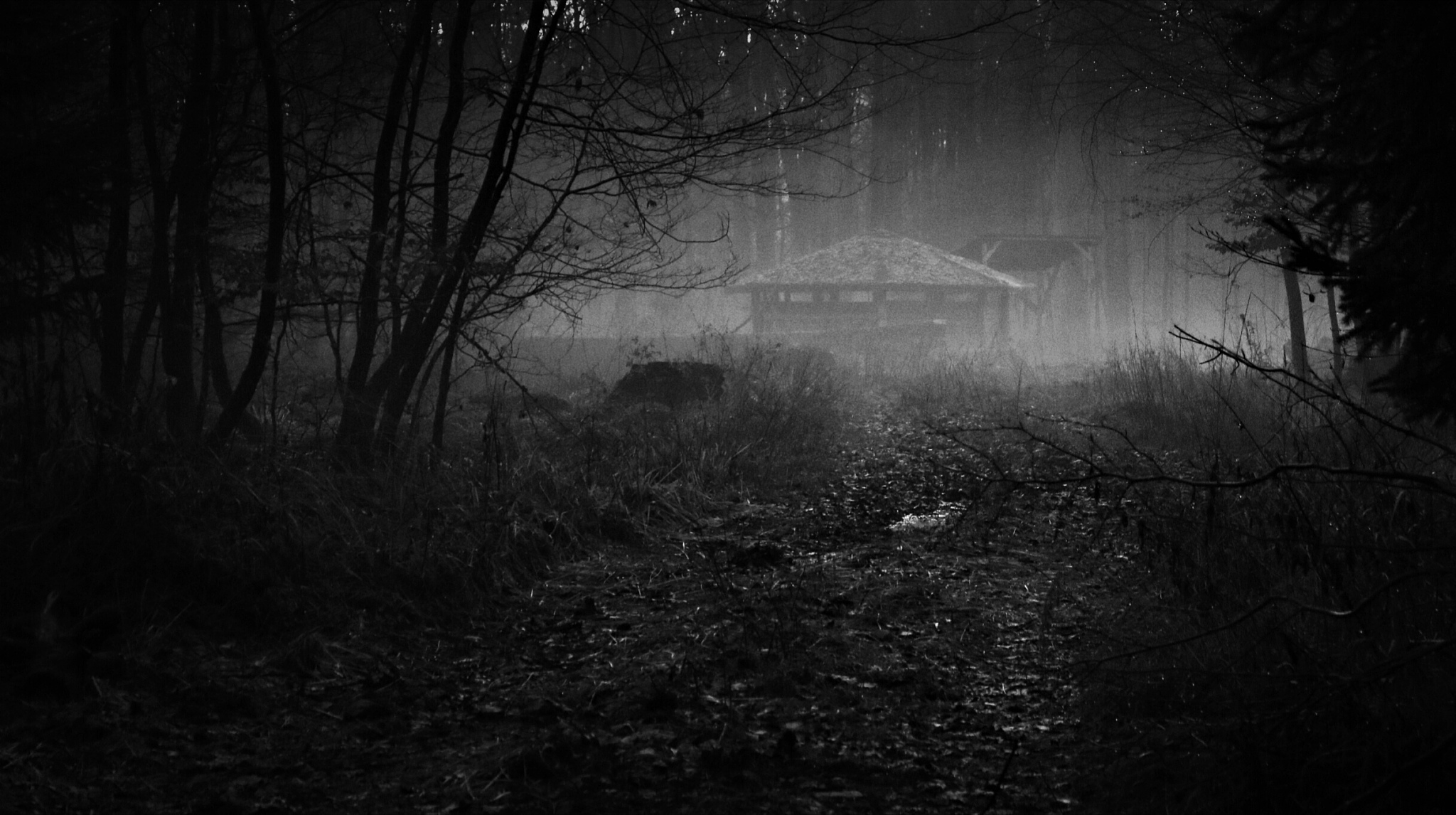 恐怖夜：21字描述，体验寒风中的惊悚