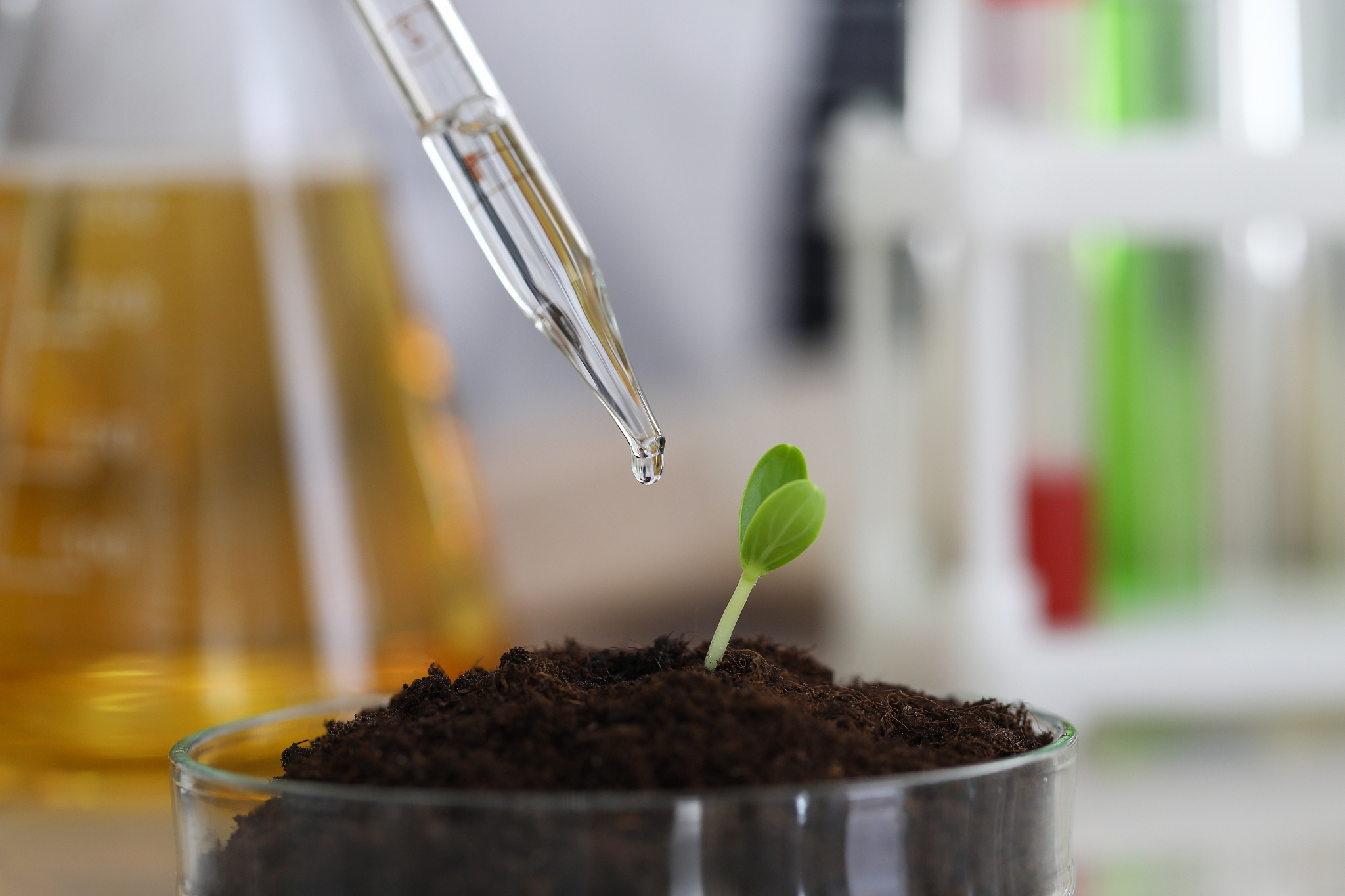 PLANT AND SOIL期刊研究范围详细内容