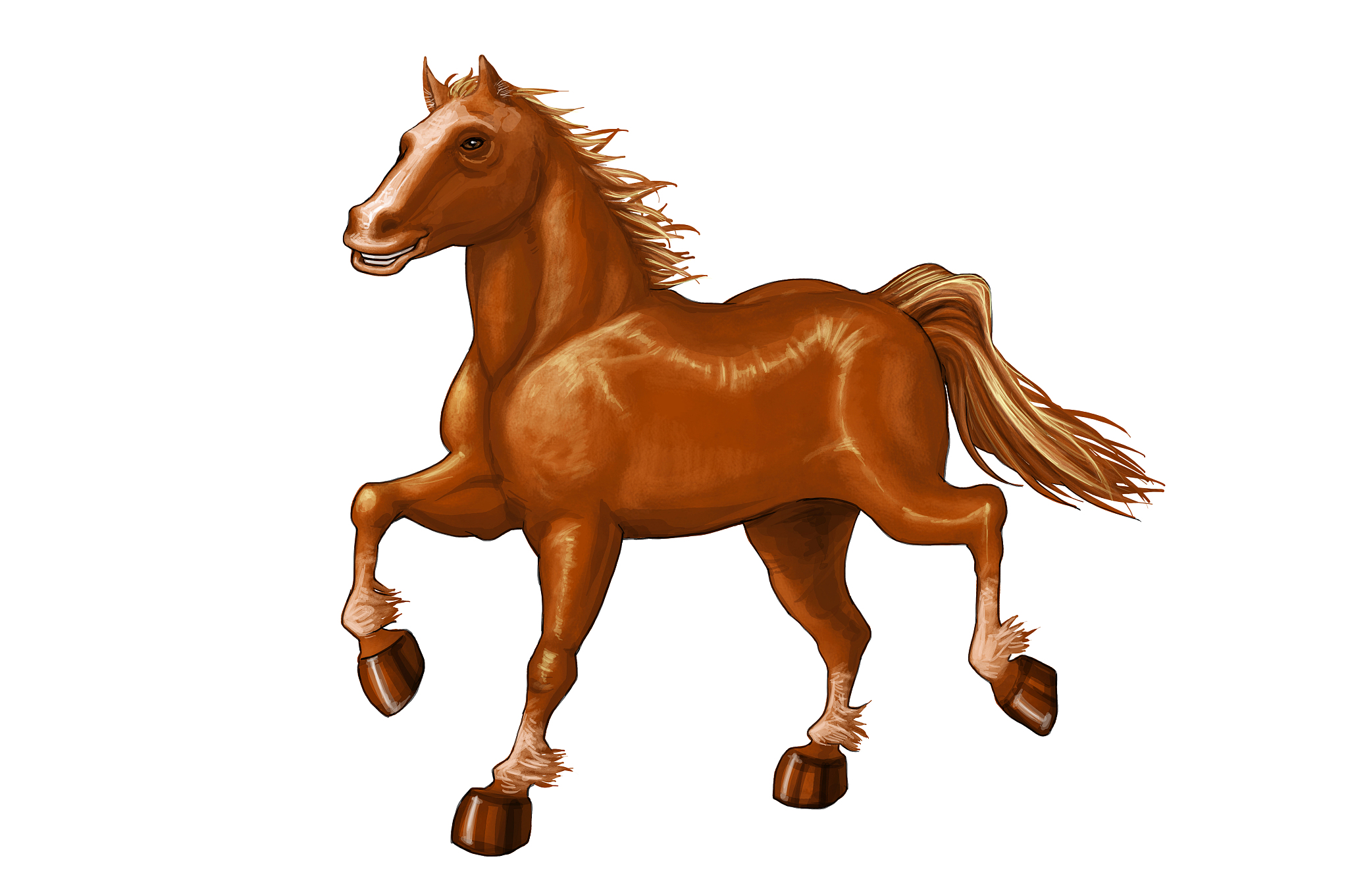 生肖马性格解析：勇敢、自由、充满活力