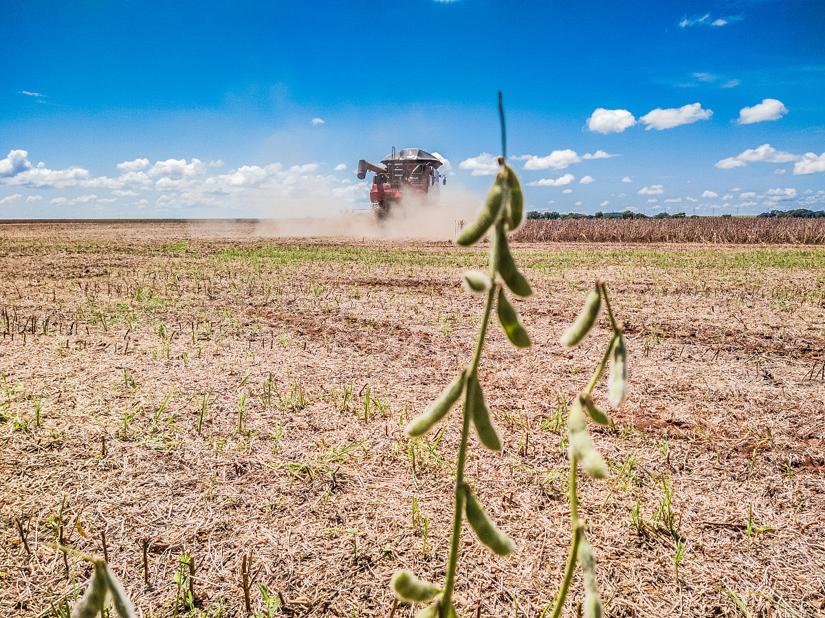 蒙自县中等农业机械化技术学校农村土地纠纷调解专业怎么样？